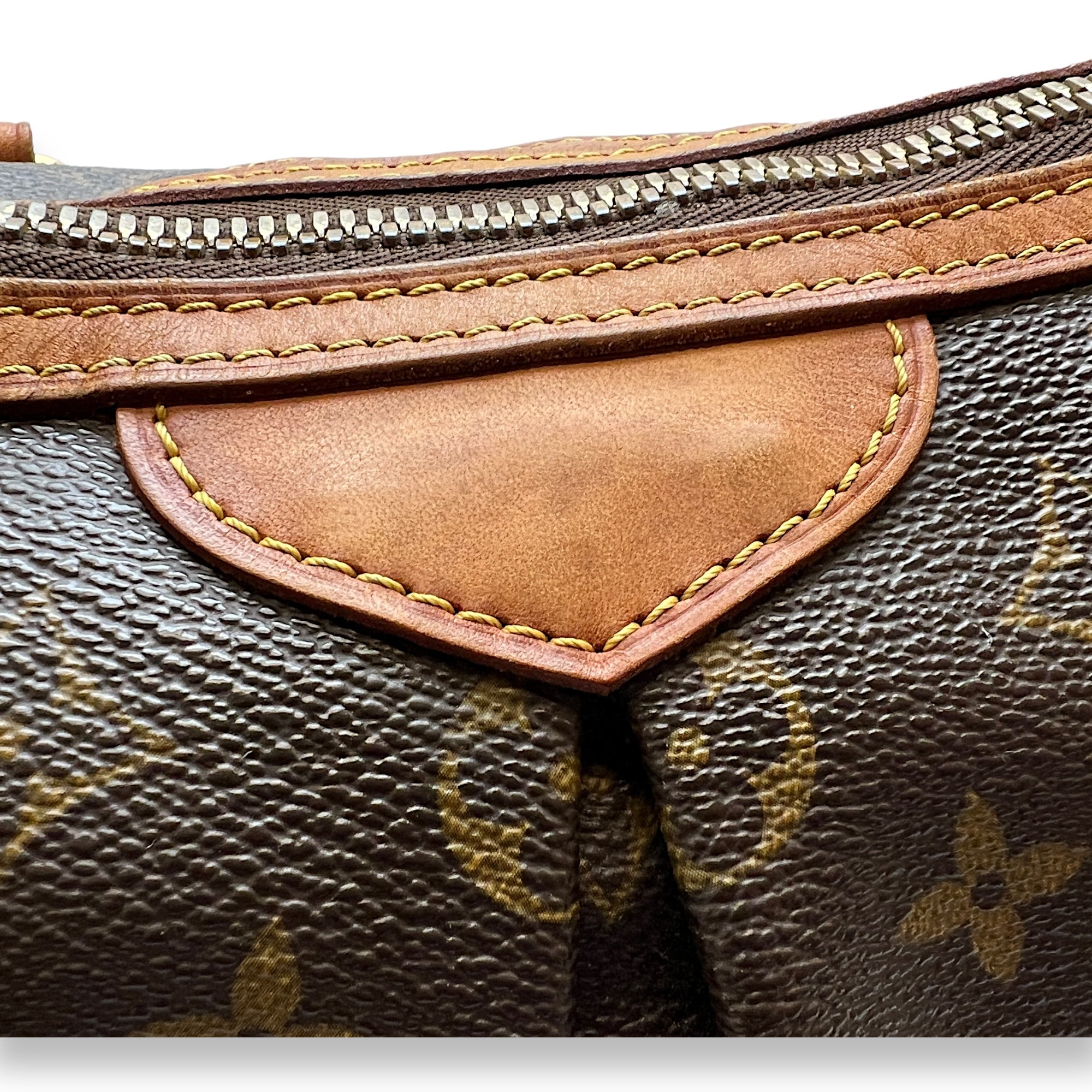 Palermo Top handle Bag  Brown in Monogram Coated Canvas , Gold Hardware