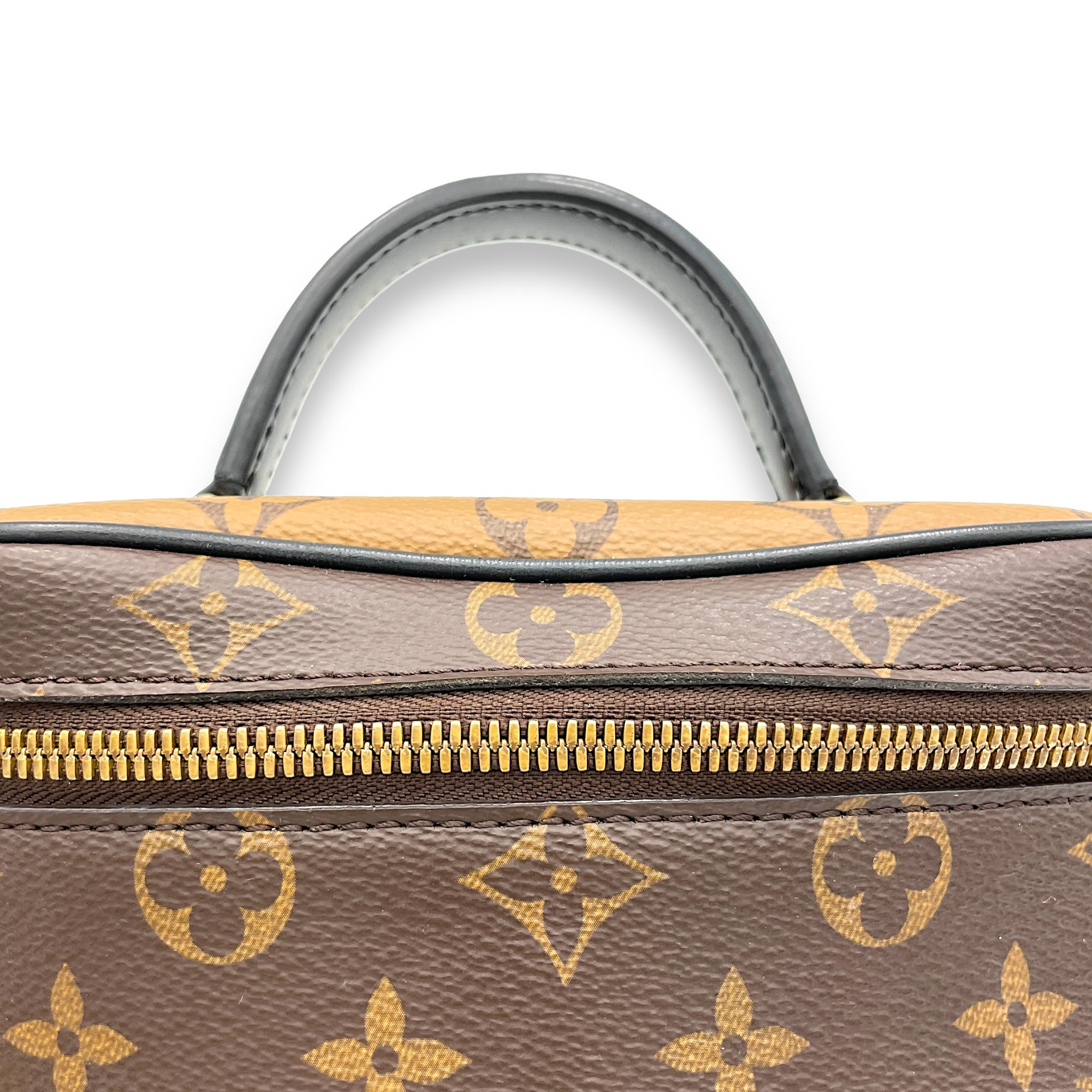 Reverse Vanity Bag PM Brown in Monogram Coated Canvas, Gold hardware