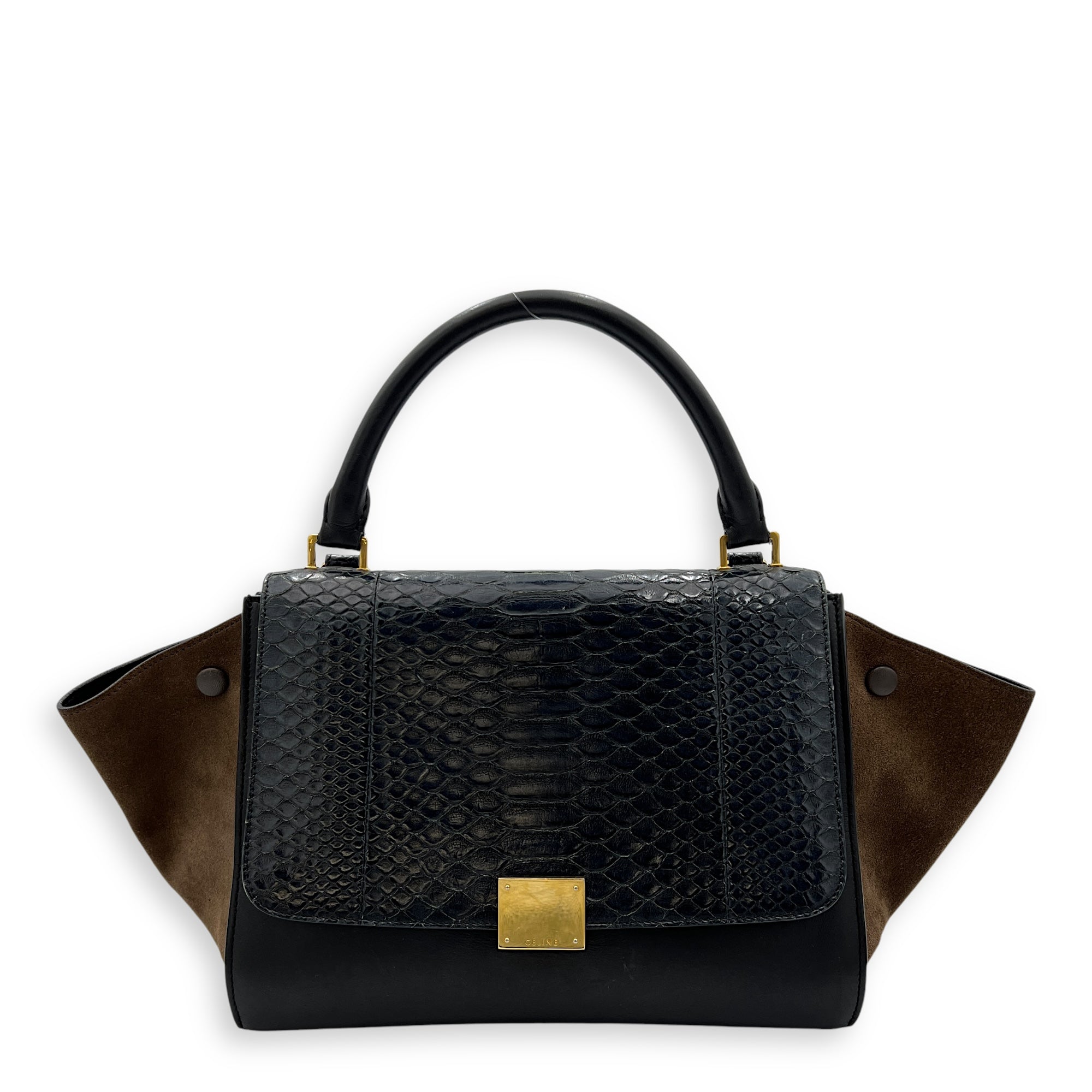 Trapeze Top handle Bag Small Multi-colour in Calfskin , Gold Hardware