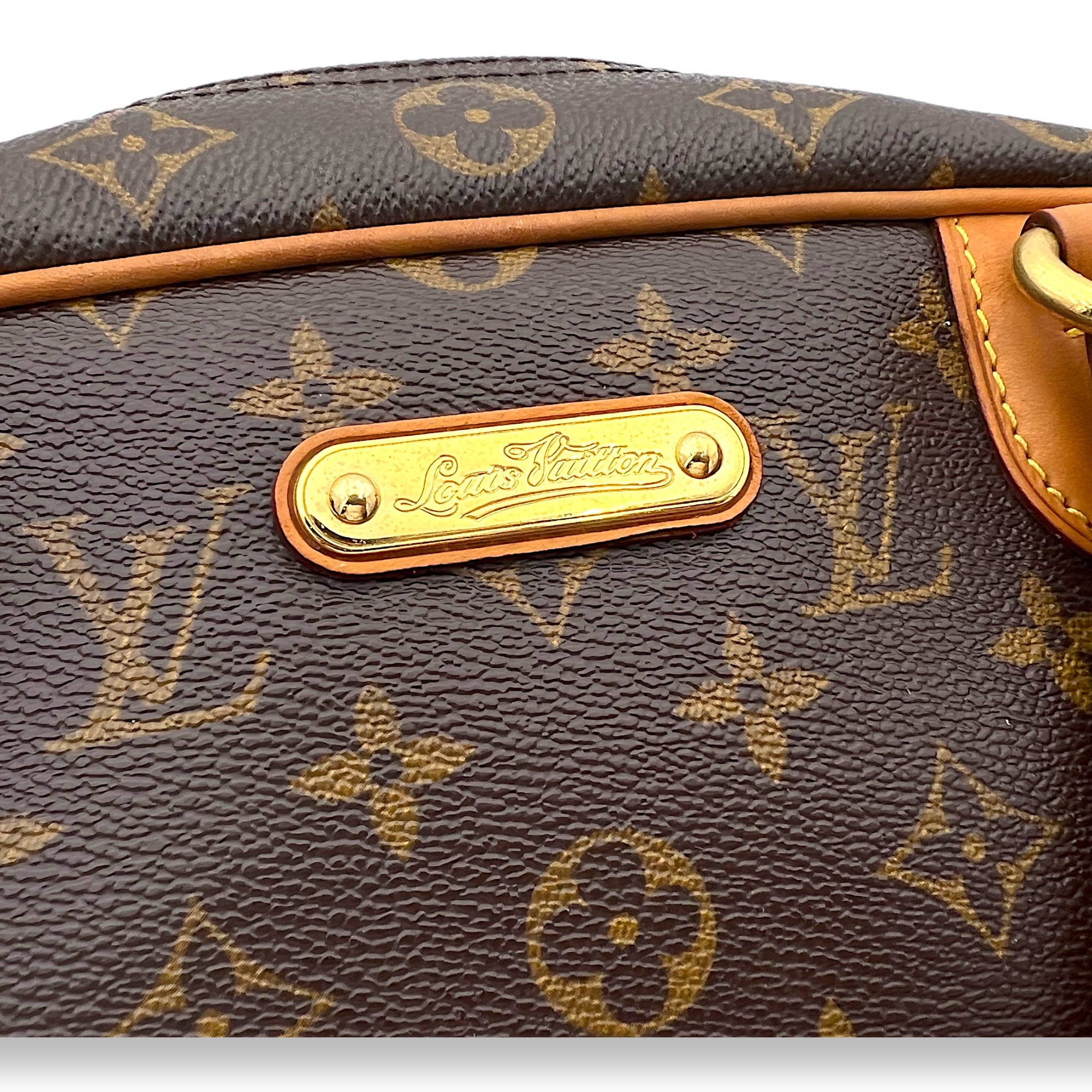 Montorgueil Top Handle Bag GM Brown in Monogram Coated Canvas, Gold hardware