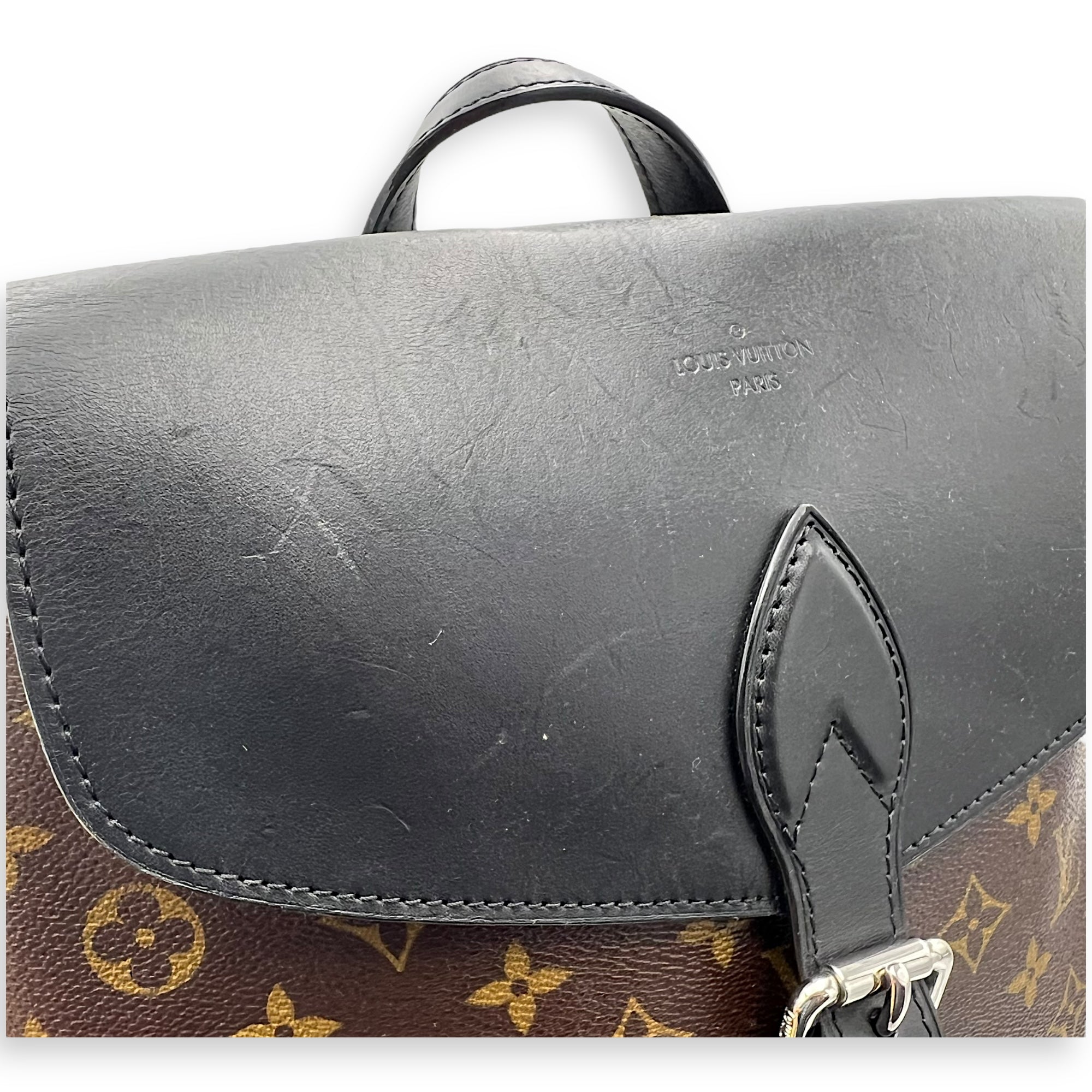 Louis Vuitton Macassar Brown Backpack in Monogram Coated Canvas, Gold hardware_7