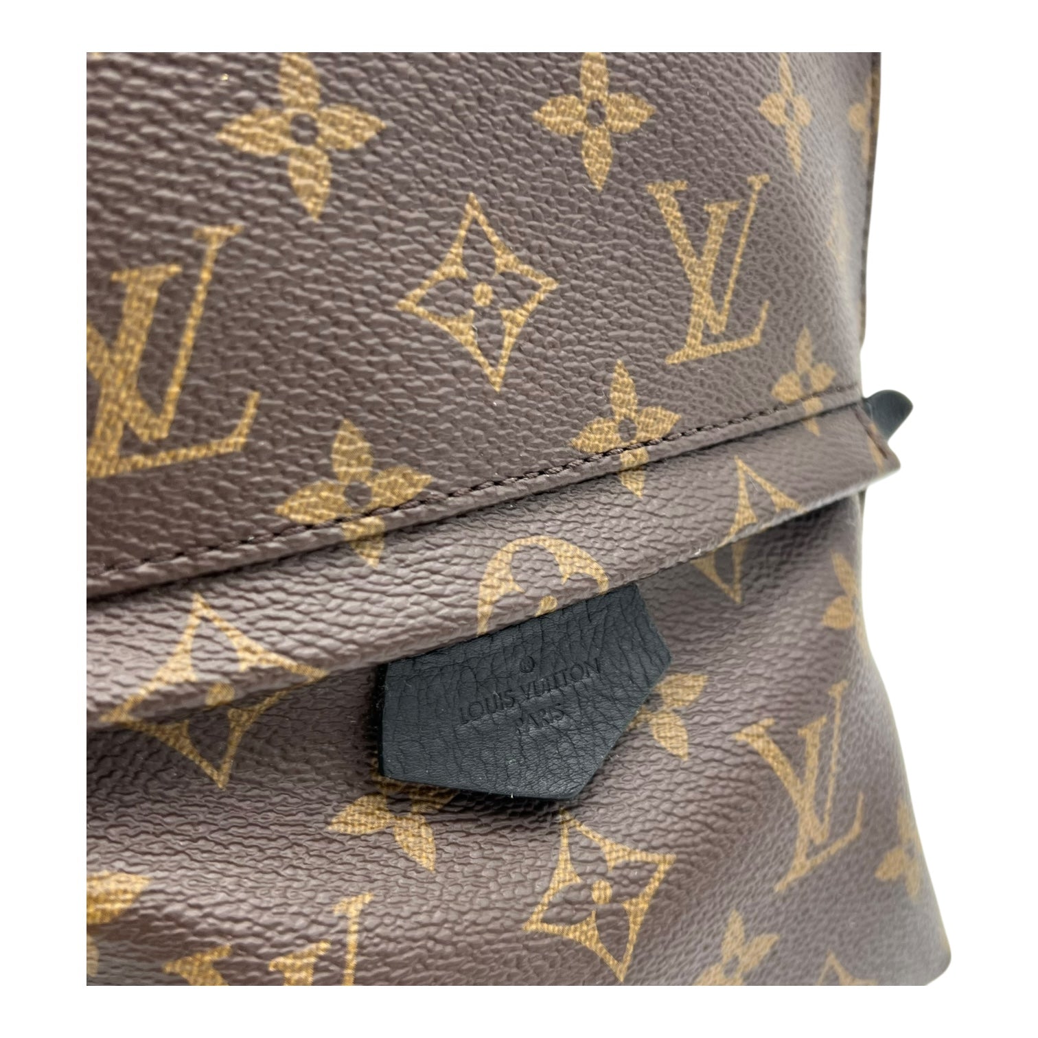 Louis Vuitton Palm Springs Backpack PM Brown in Monogram Coated Canvas, Gold hardware_7