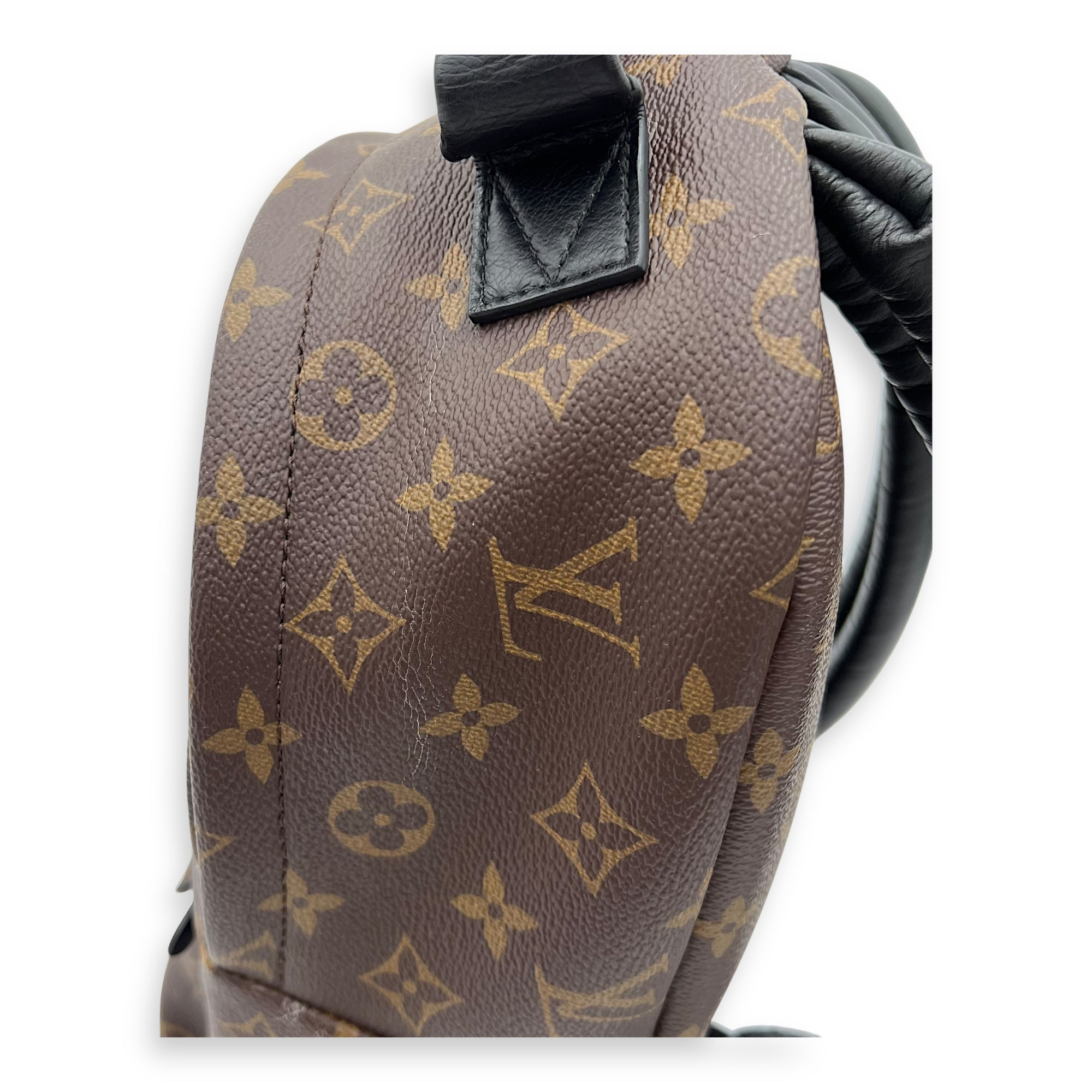 Louis Vuitton Palm Springs Backpack Brown in Monogram Coated Canvas, Gold hardware_7