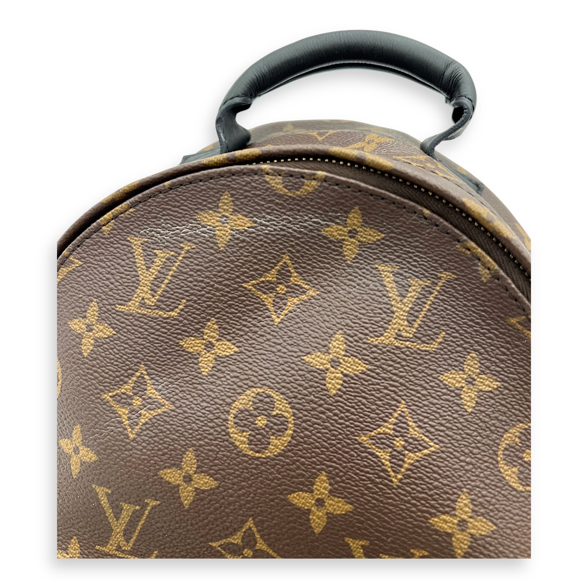 Louis Vuitton Palm Springs PM Brown Backpack in Monogram Coated Canvas, Gold hardware_7
