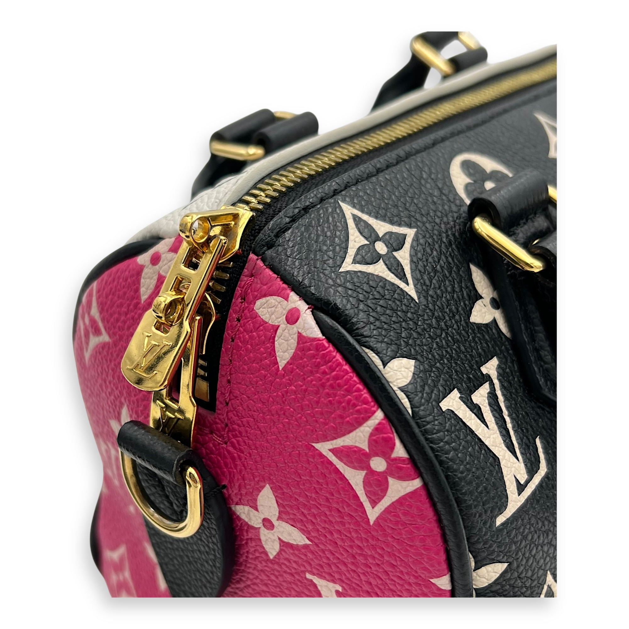 Louis Vuitton Speedy Top Handle Bag Multi-colour in Calfskin, Gold hardware_7