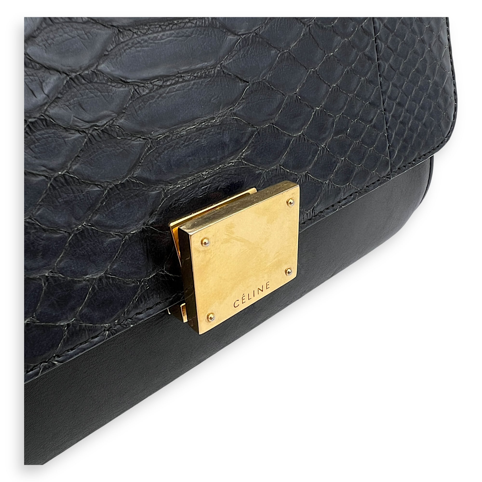 Trapeze Top handle Bag Small Multi-colour in Calfskin , Gold Hardware