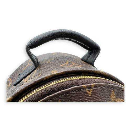 Louis Vuitton Palm Springs Backpack Brown in Monogram Coated Canvas, Gold hardware_8