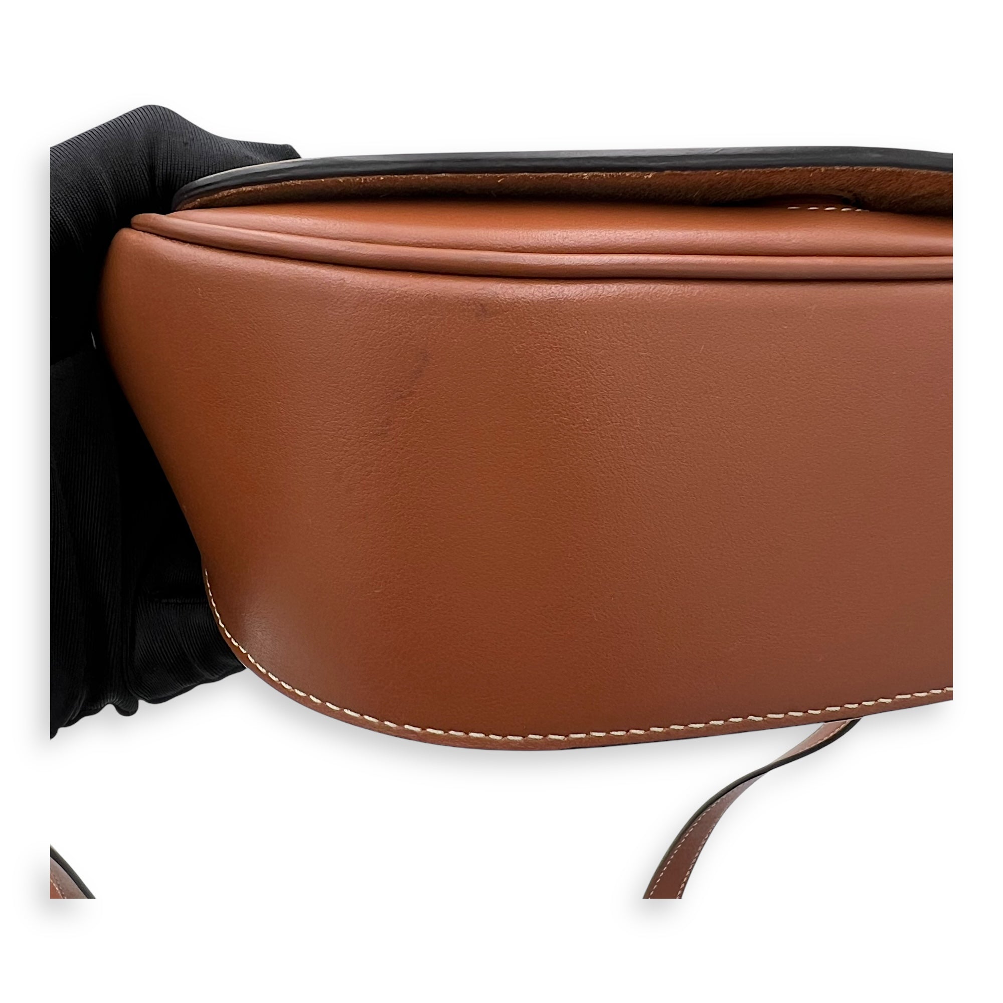 Celine Folco Triomphe Brown Crossbody Bag in Calfskin, Gold hardware_8