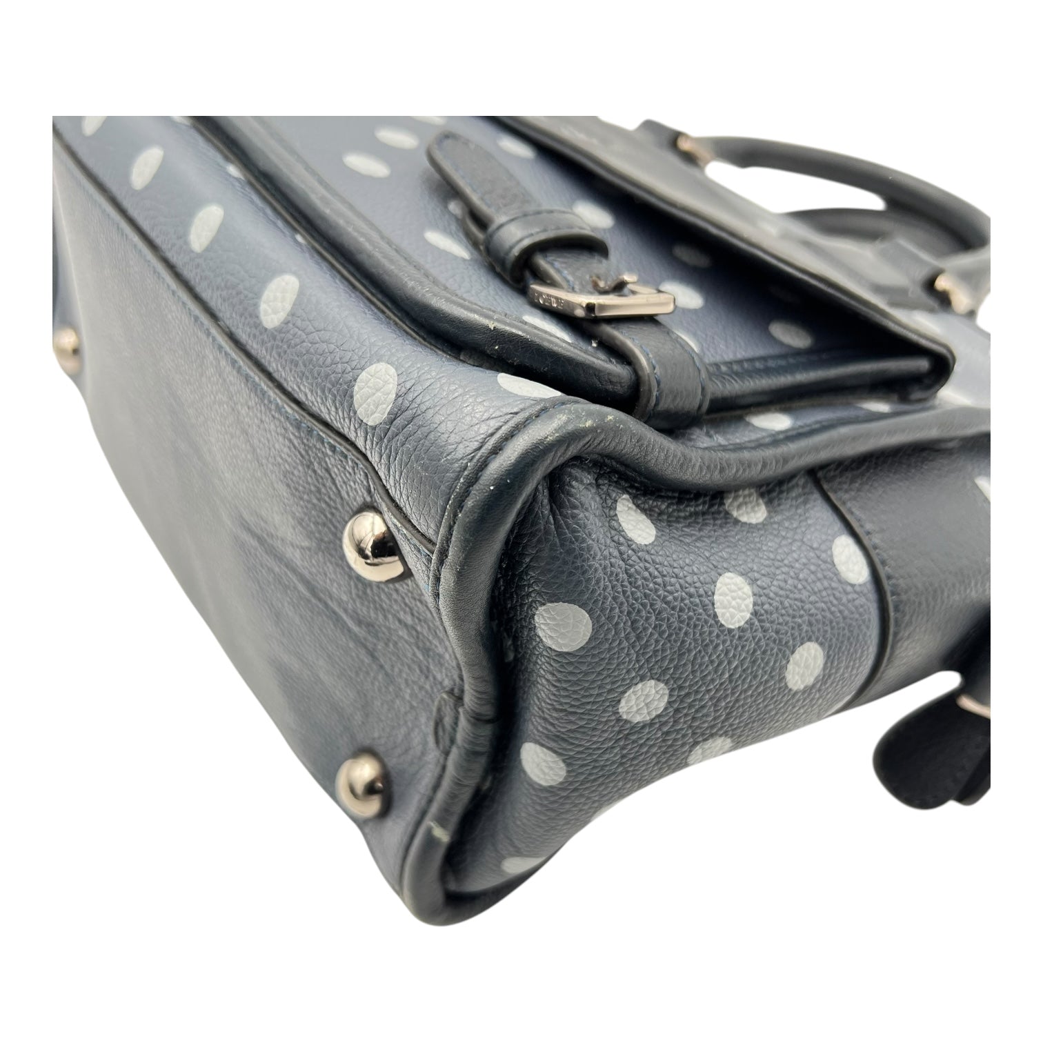 Loewe Amazona Top Handle Bag Blue in Calfskin, Silver hardware_6