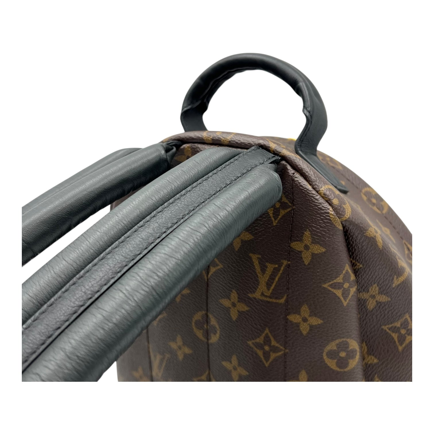Louis Vuitton Palm Springs Backpack PM Brown in Monogram Coated Canvas, Gold hardware_8