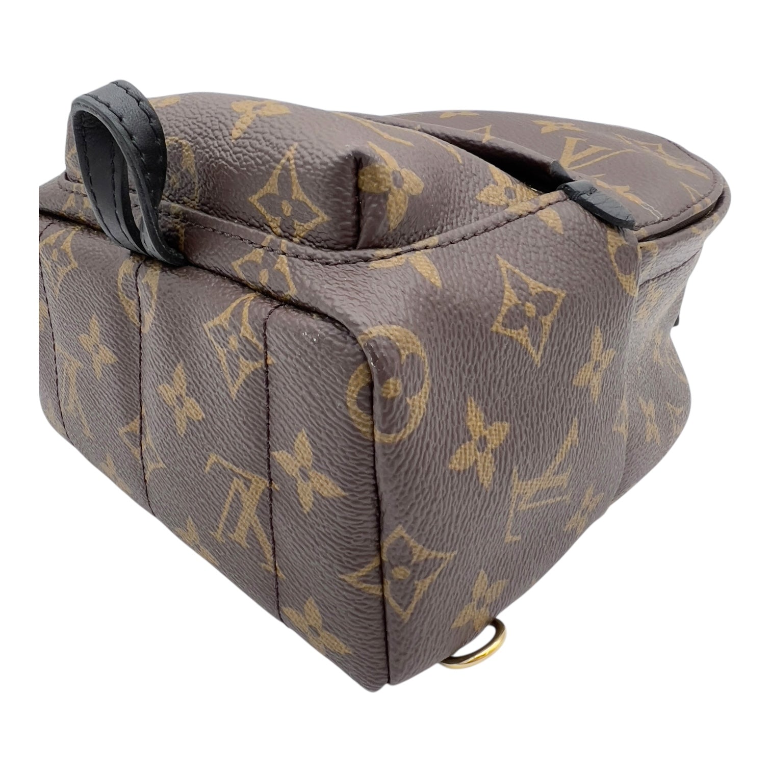Louis Vuitton Palm Springs Mini Brown Backpack in Monogram Coated Canvas, Gold hardware_8