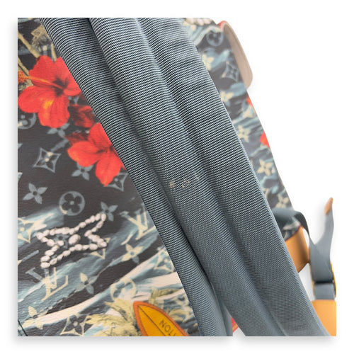Louis Vuitton Surfing Christopher Backpack Multi-colour in Coated Canvas, Gold hardware_8