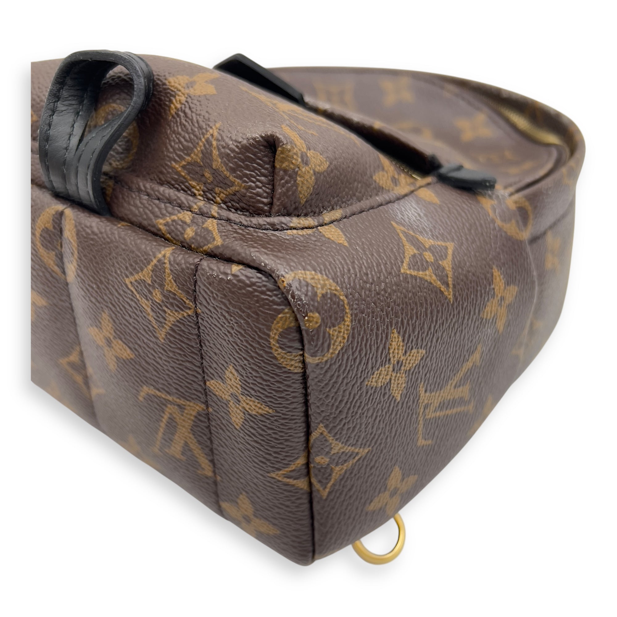 Louis Vuitton Palm Springs Mini Brown Backpack in Monogram Coated Canvas, Gold hardware_6