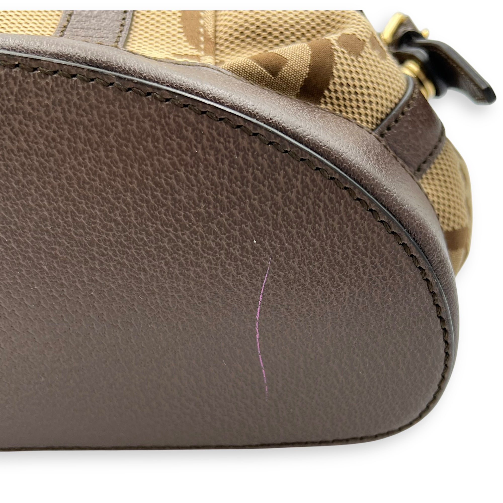 Gucci GG Backpack Brown in Canvas, Gold hardware_8