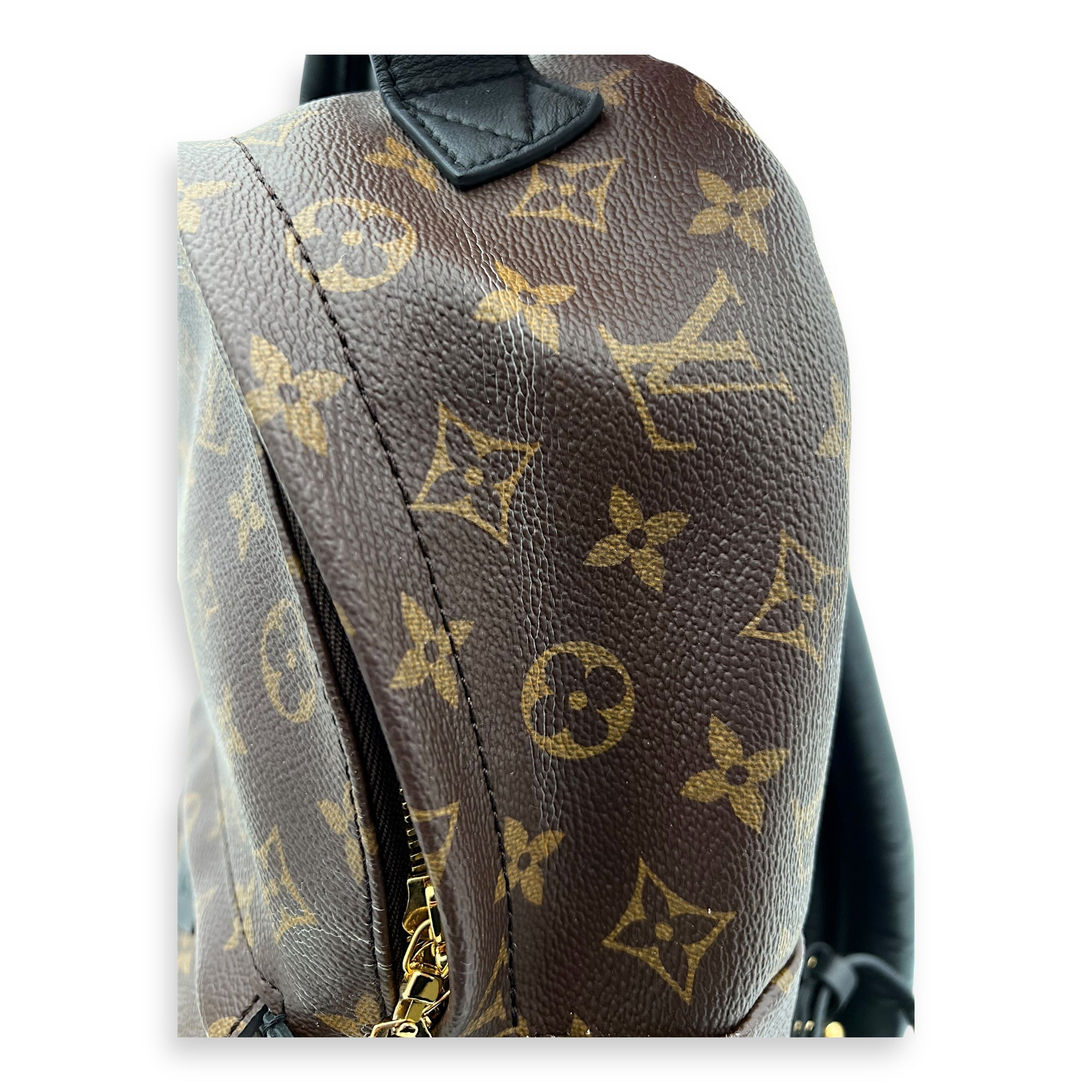 Louis Vuitton Palm Springs PM Brown Backpack in Monogram Coated Canvas, Gold hardware_5