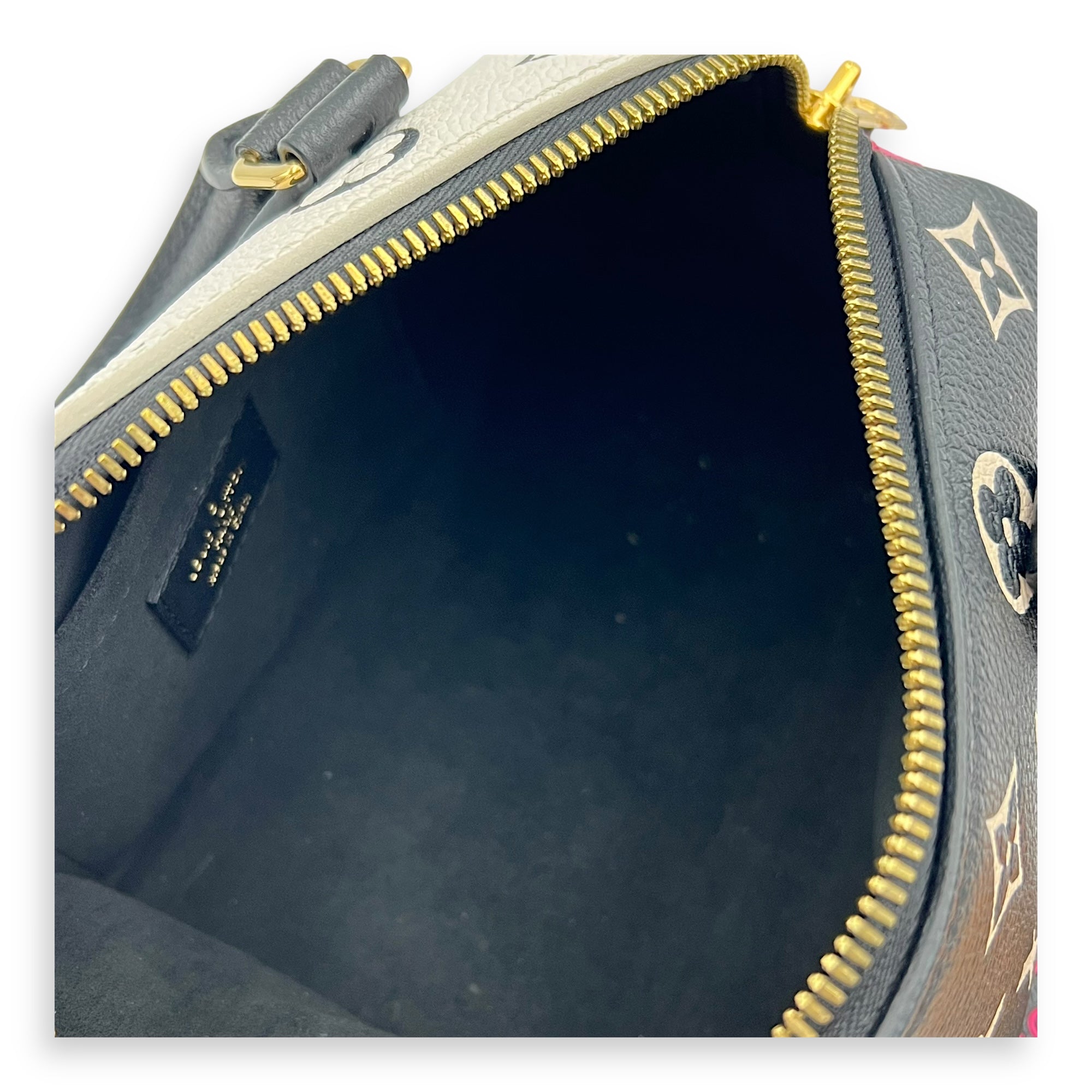 Louis Vuitton Speedy Top Handle Bag Multi-colour in Calfskin, Gold hardware_8