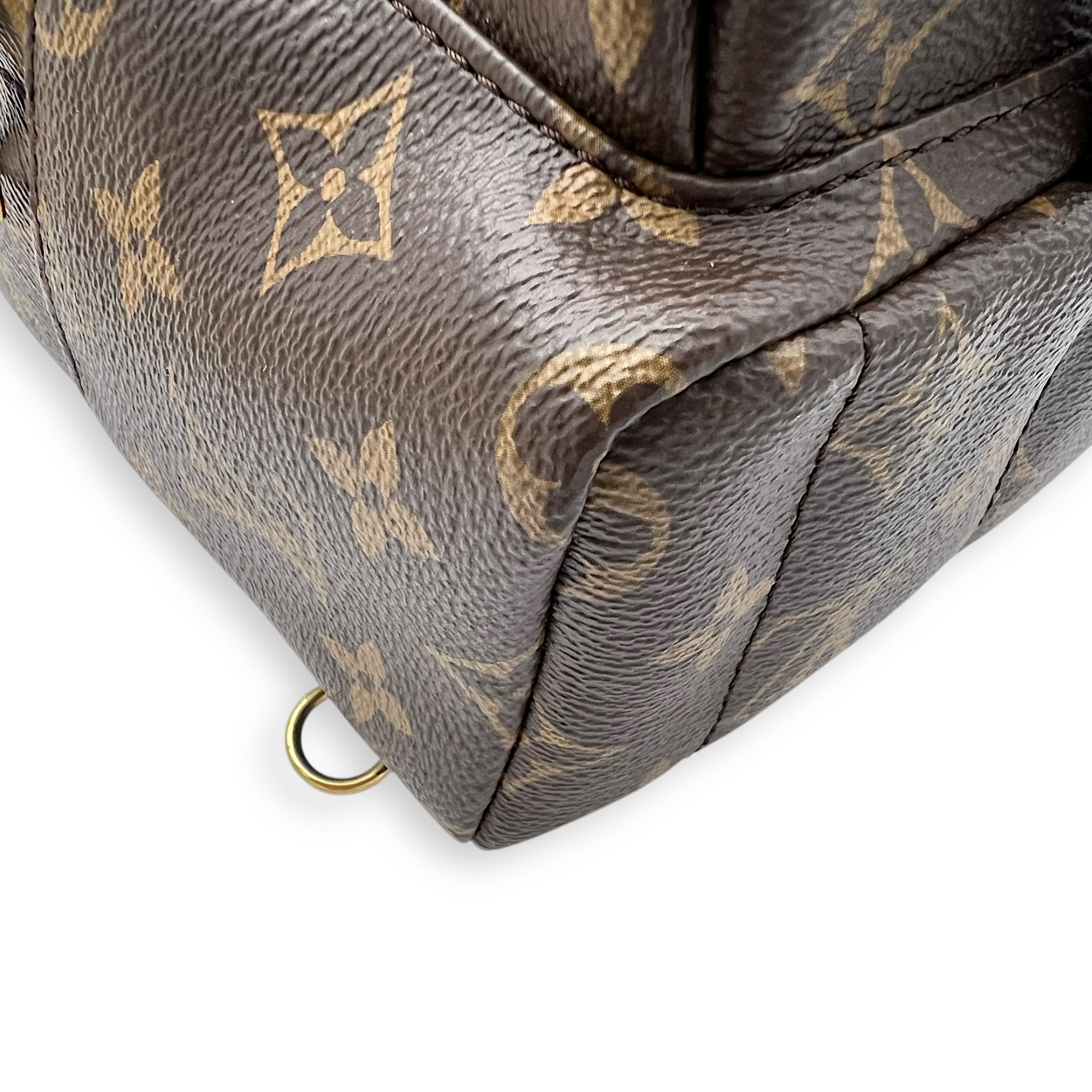 Louis Vuitton Palm Springs Backpack Brown in Monogram Coated Canvas, Gold hardware_9