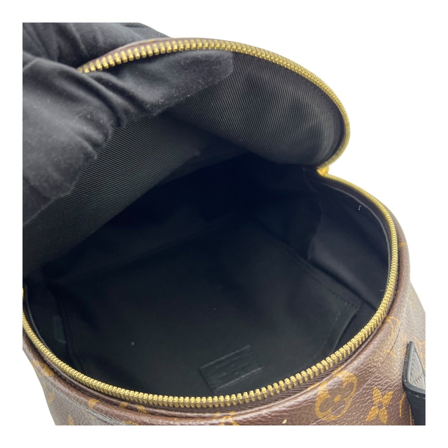 Louis Vuitton Palm Springs Backpack PM Brown in Monogram Coated Canvas, Gold hardware_9