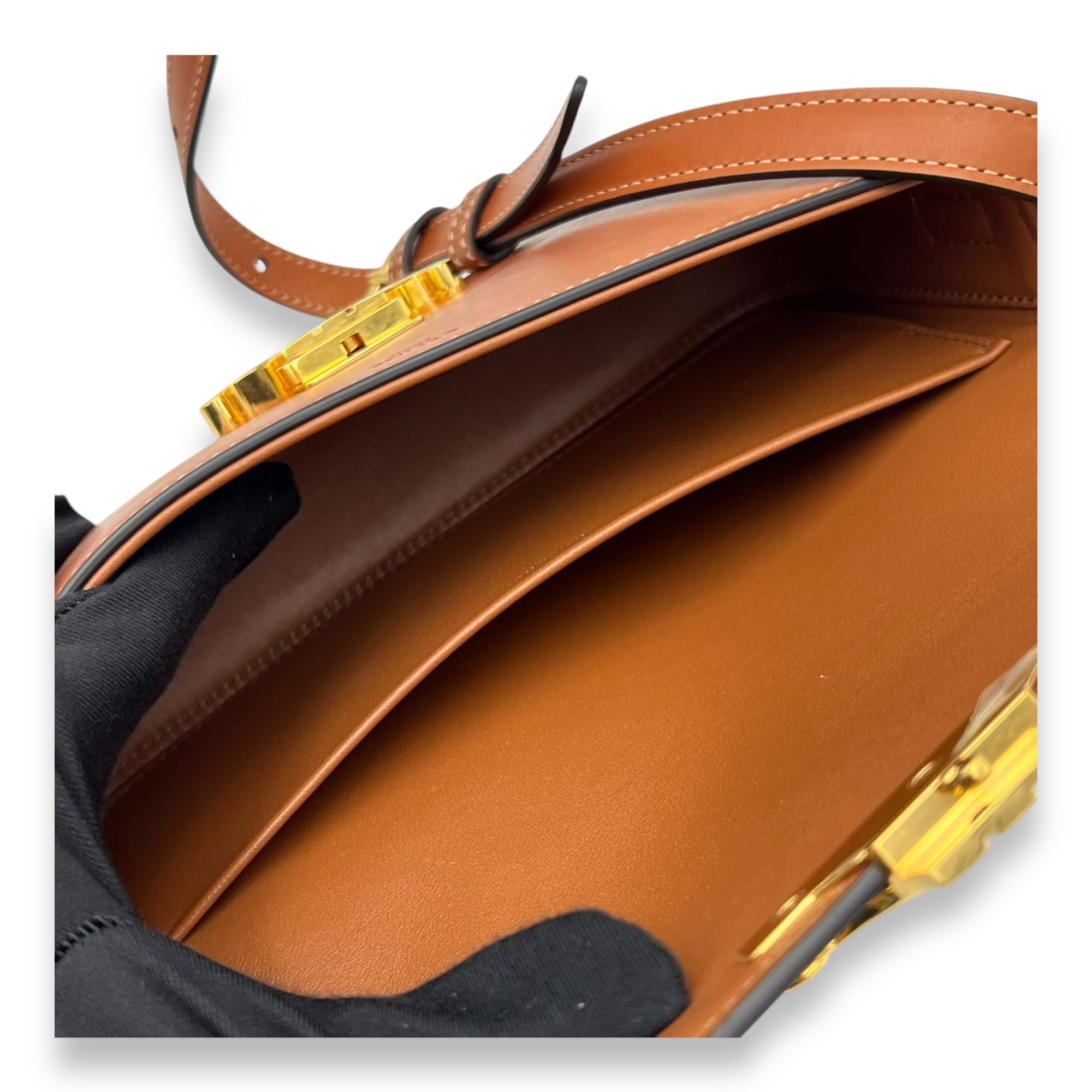 Celine Triomphe Shoulder Bag Brown in Calfskin, Gold hardware_9