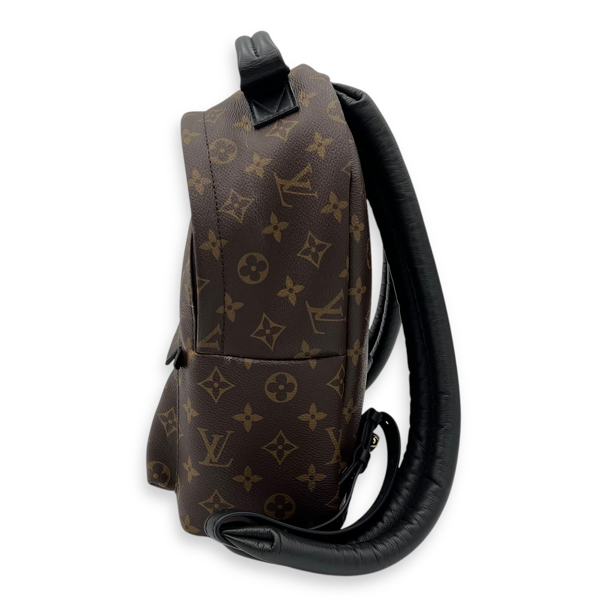 Louis Vuitton Palm Springs Backpack Brown in Monogram Coated Canvas, Gold hardware_4