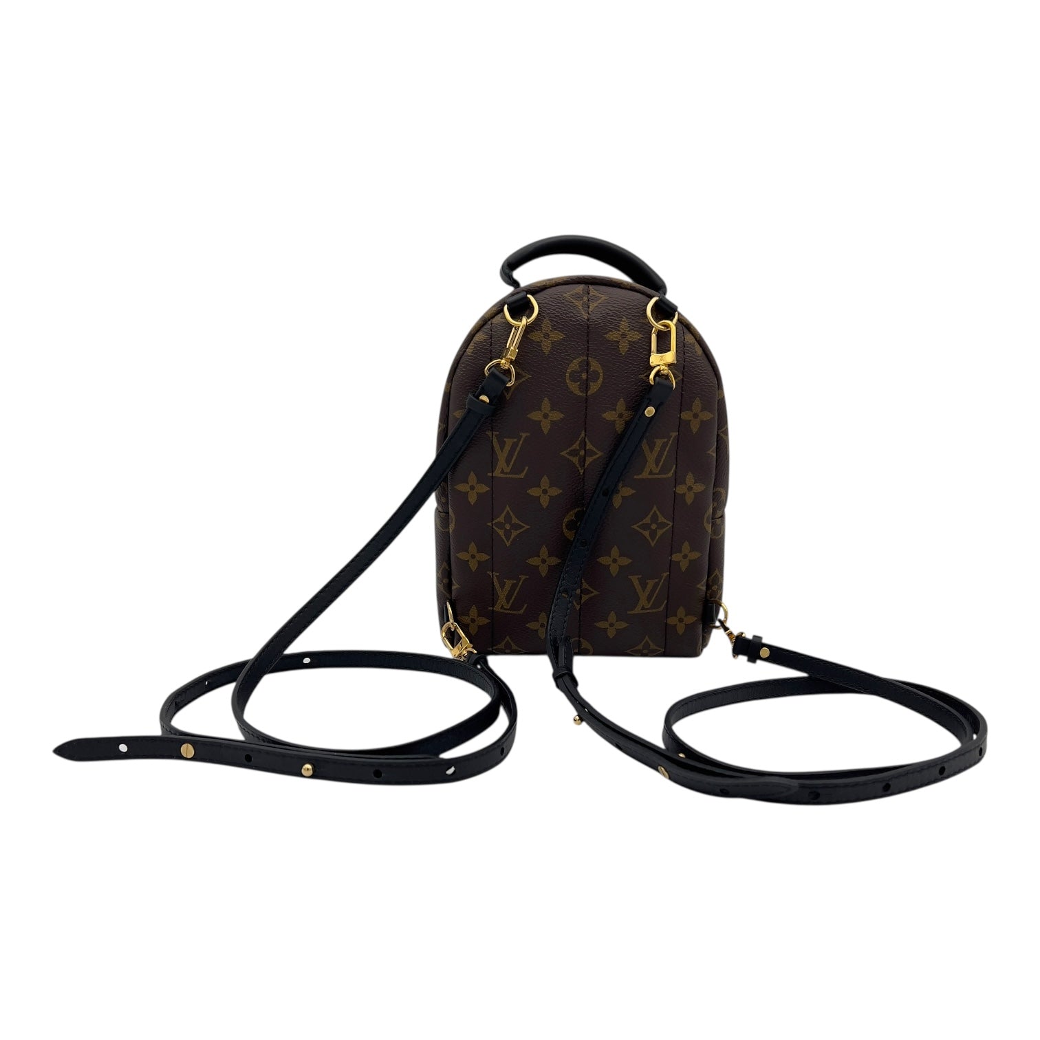Louis Vuitton Palm Springs Mini Brown Backpack in Monogram Coated Canvas, Gold hardware_7