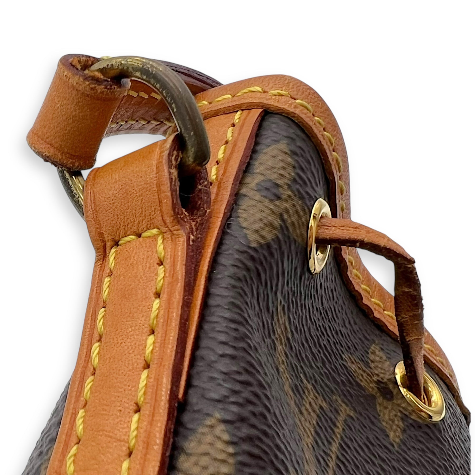 Louis Vuitton Noe Bucket Bag Brown in Monogram Coated Canvas, Gold hardware_9