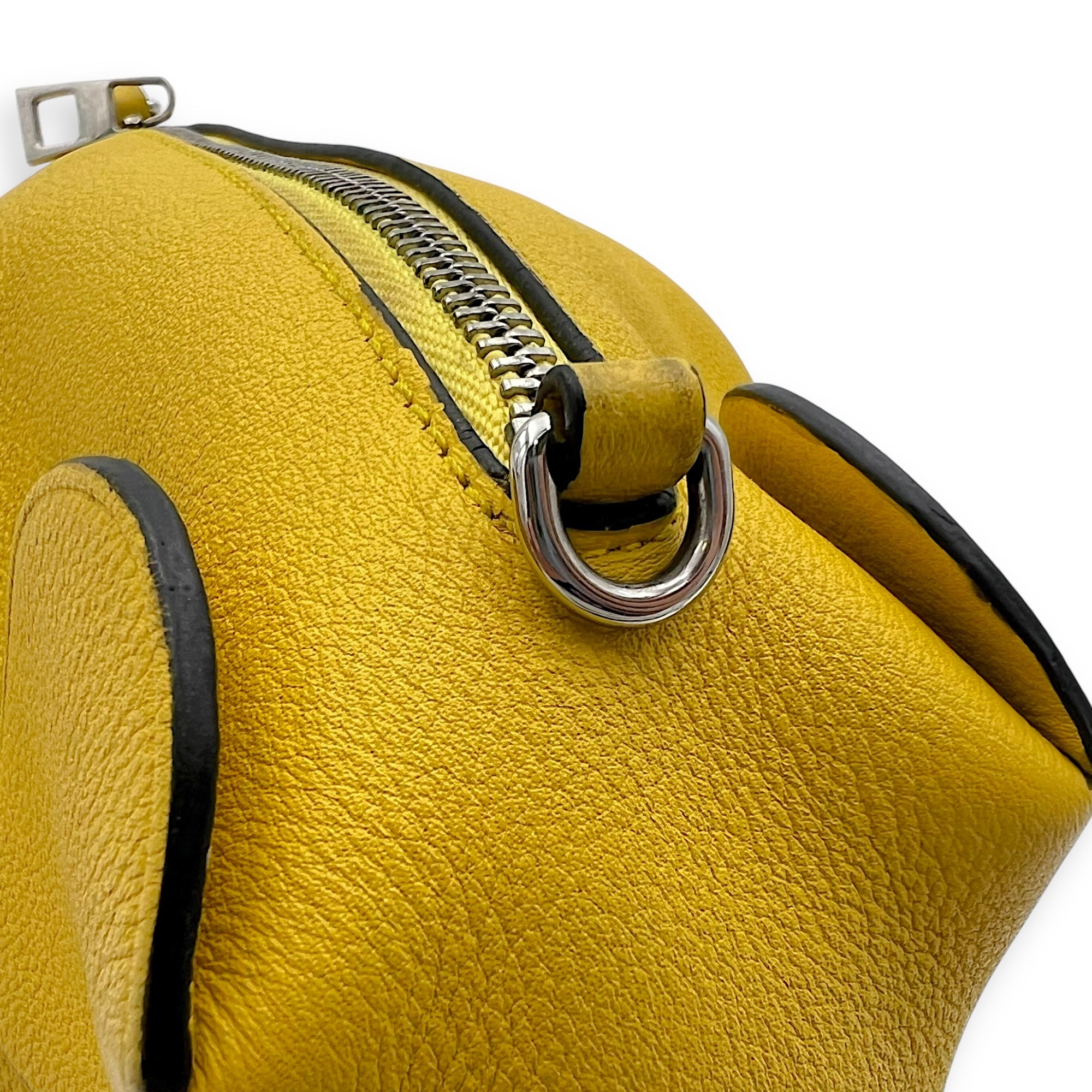 Loewe Elephant Crossbody Bag Yellow in Calfskin, Silver hardware_9