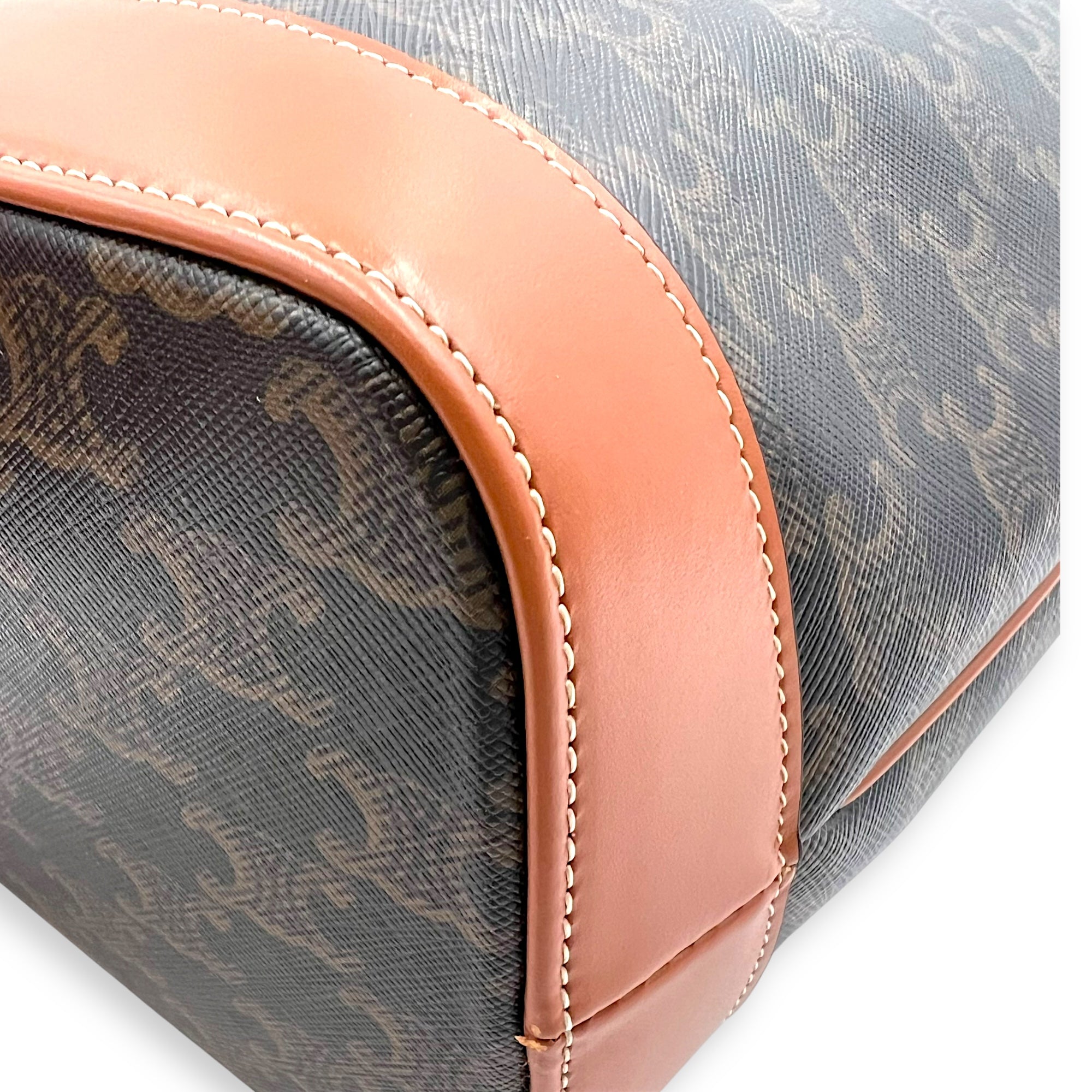 Celine Triomphe Tote Bag Brown in Coated Canvas, Gold hardware_9