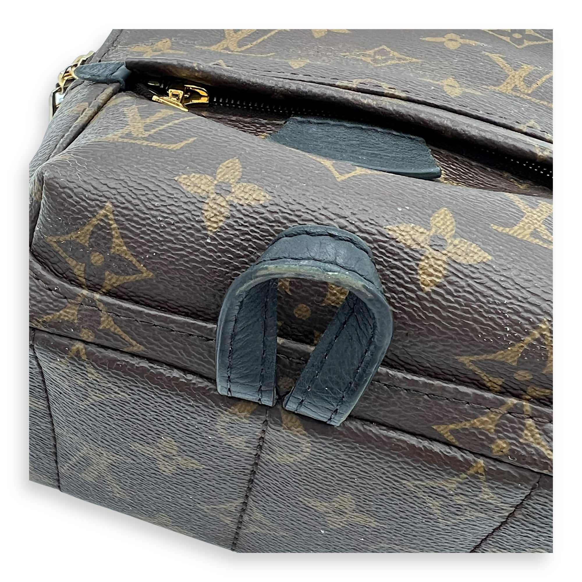 Louis Vuitton Palm Springs Backpack Mini Brown in Monogram Coated Canvas, Gold hardware_5