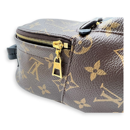 Louis Vuitton Palm Springs Backpack Brown in Monogram Coated Canvas, Gold hardware_10