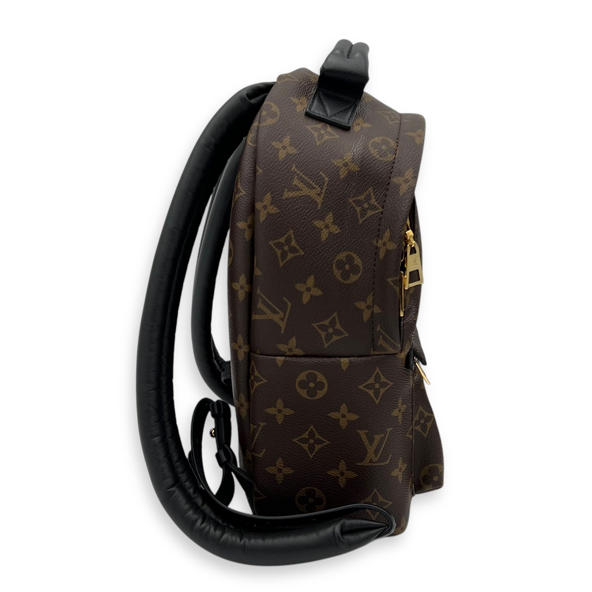 Louis Vuitton Palm Springs Backpack Brown in Monogram Coated Canvas, Gold hardware_3