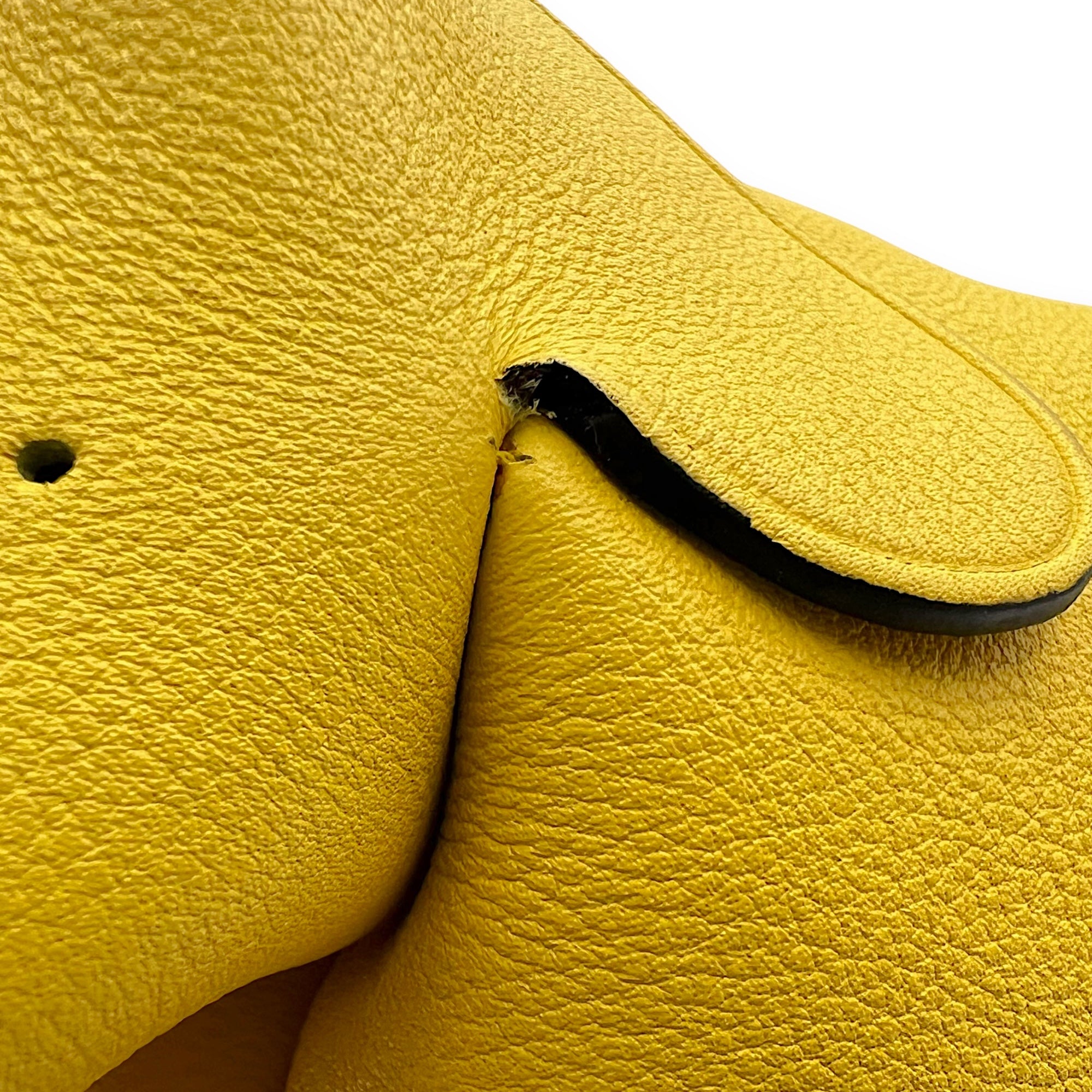 Loewe Elephant Crossbody Bag Yellow in Calfskin, Silver hardware_10