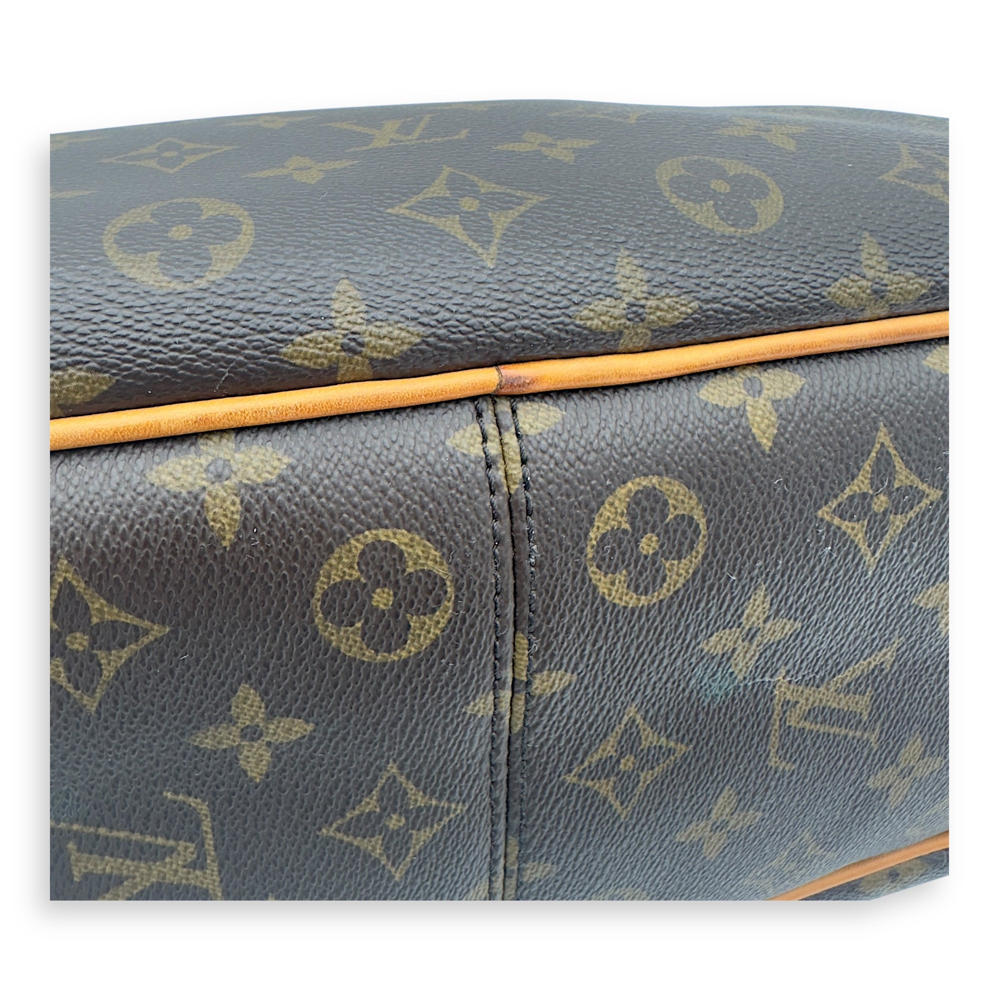 Louis Vuitton Delightful Shoulder Bag Brown in Monogram Coated Canvas, Gold hardware_13