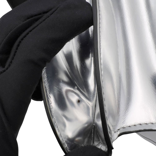 Celine Box Medium Silver Shoulder Bag in Calfskin, Silver hardware_10
