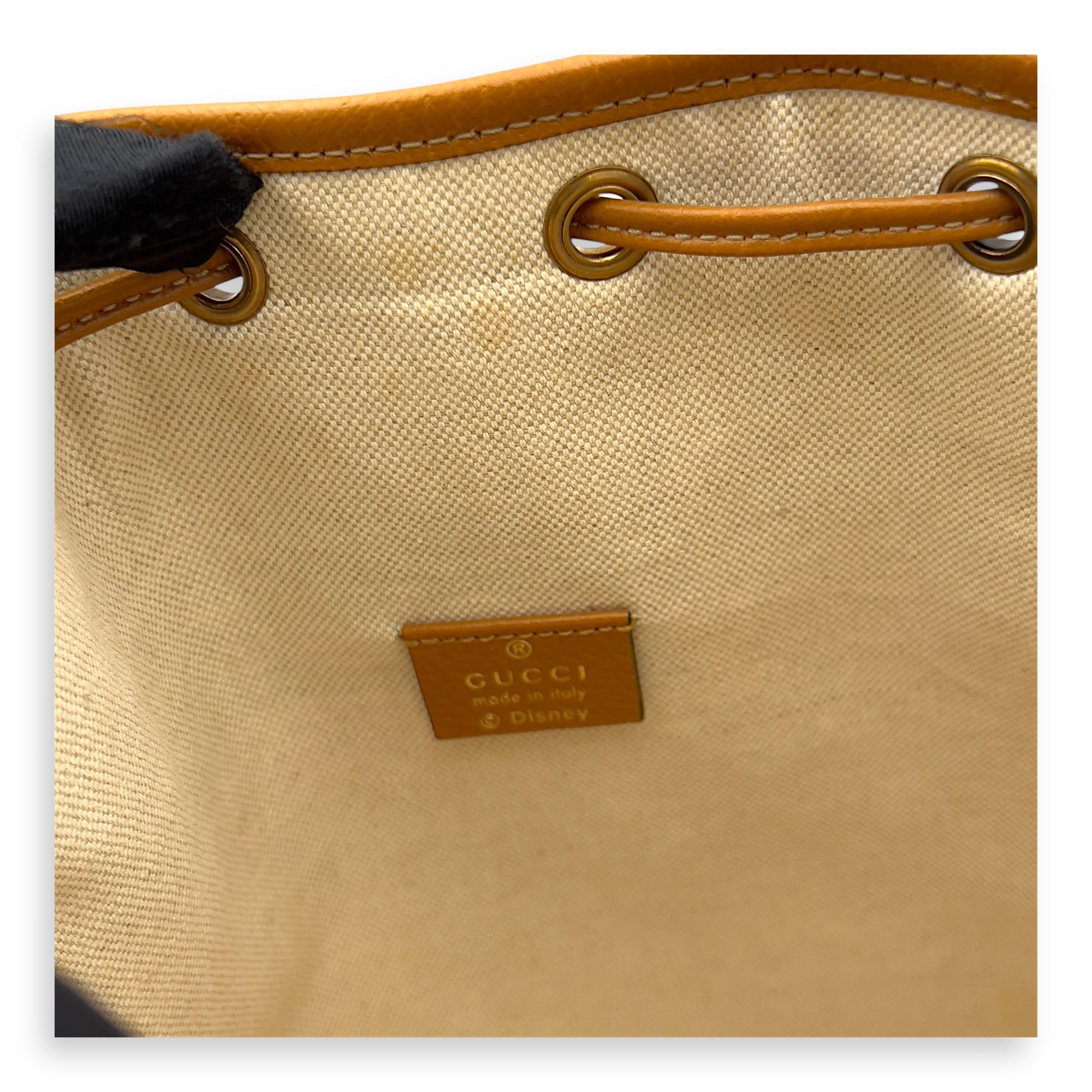 Gucci Disney Bucket Bag Brown in Coated Canvas, Gold hardware_11