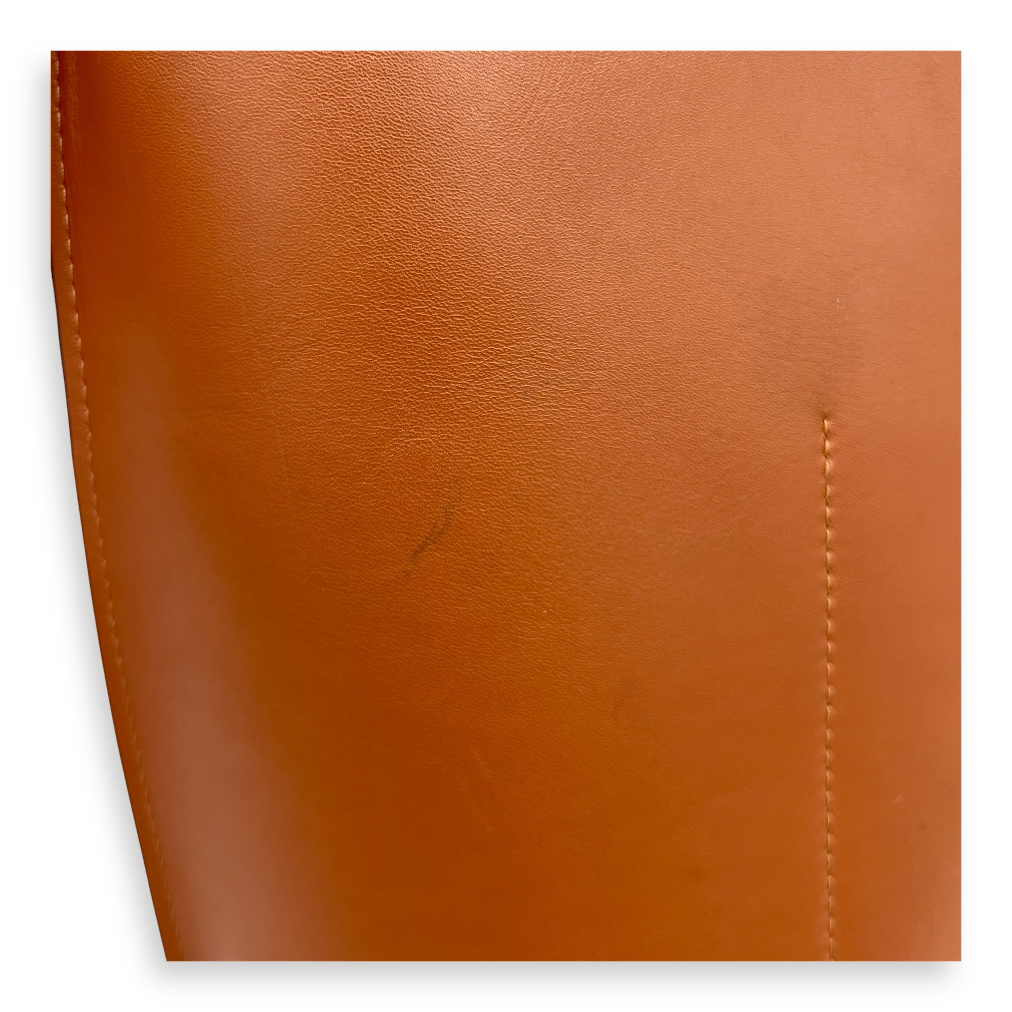 Loewe Anagram Shoulder Bag Brown in Calfskin, Gold hardware_9