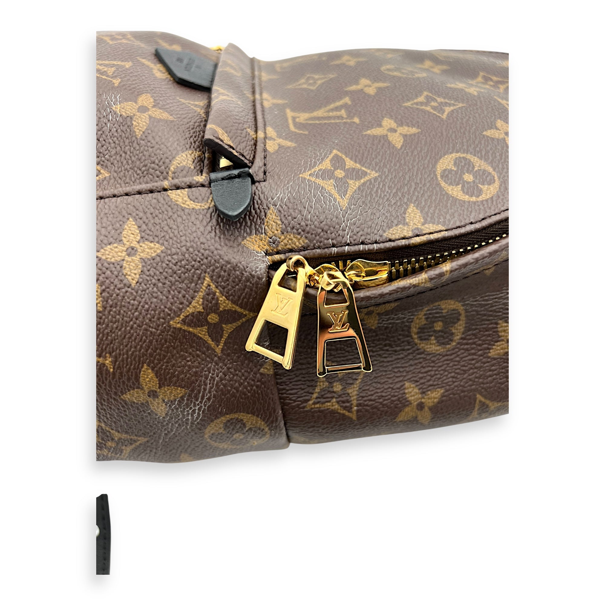 Louis Vuitton Palm Springs PM Brown Backpack in Monogram Coated Canvas, Gold hardware_2