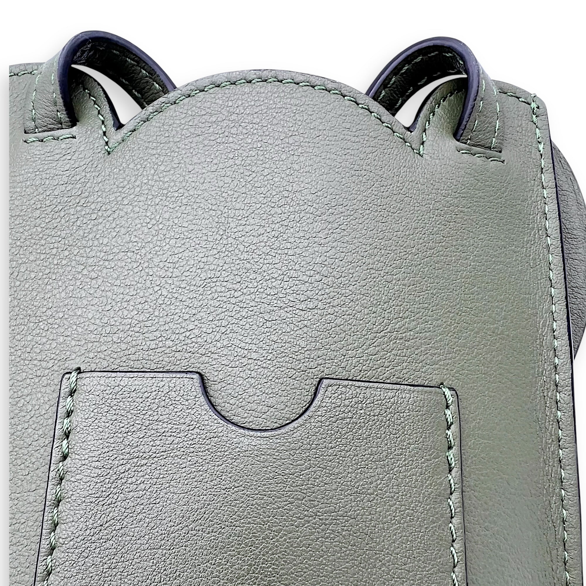 Loewe Elephant Pocket Crossbody Bag Green in Calfskin_11
