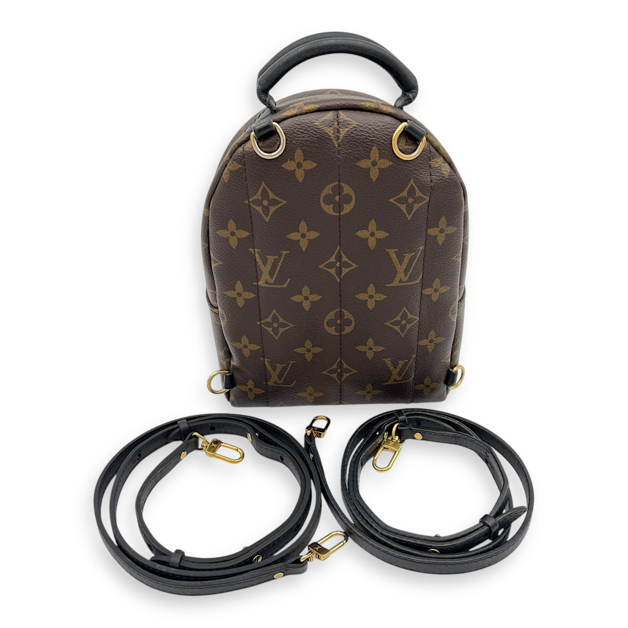 Louis Vuitton Palm Springs Backpack Mini Brown in Monogram Coated Canvas, Gold hardware_2