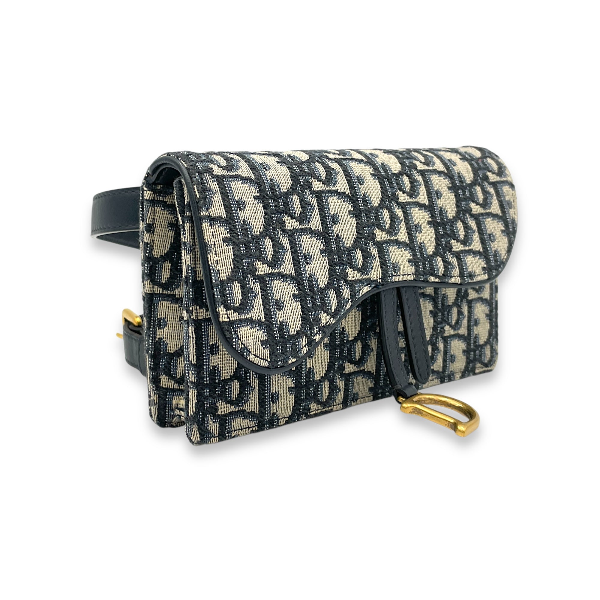 Oblique Saddle Belt bag in Jacquard, Gold Hardware