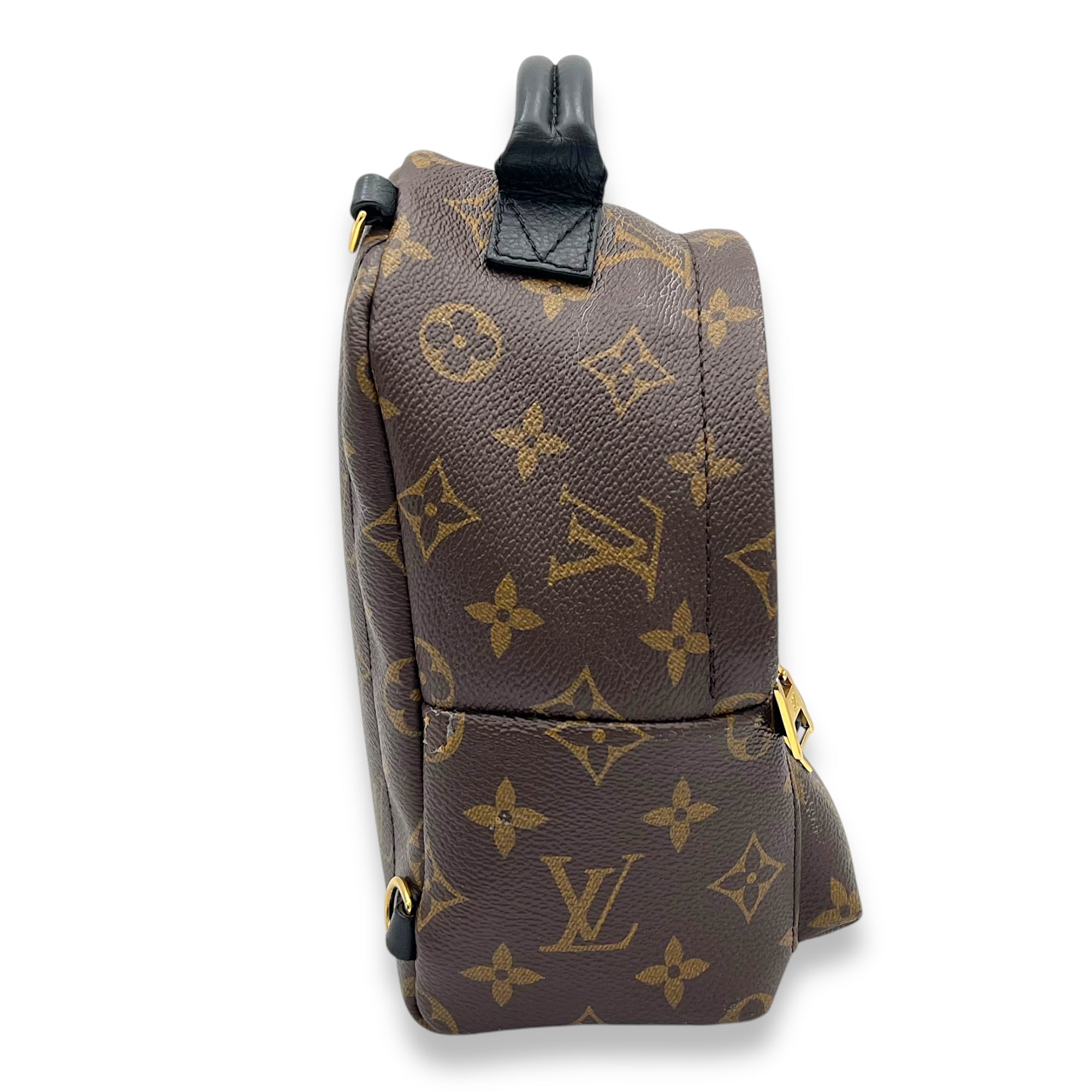 Palm Springs Backpack Brown in Monogram Coated Canvas, Gold hardware