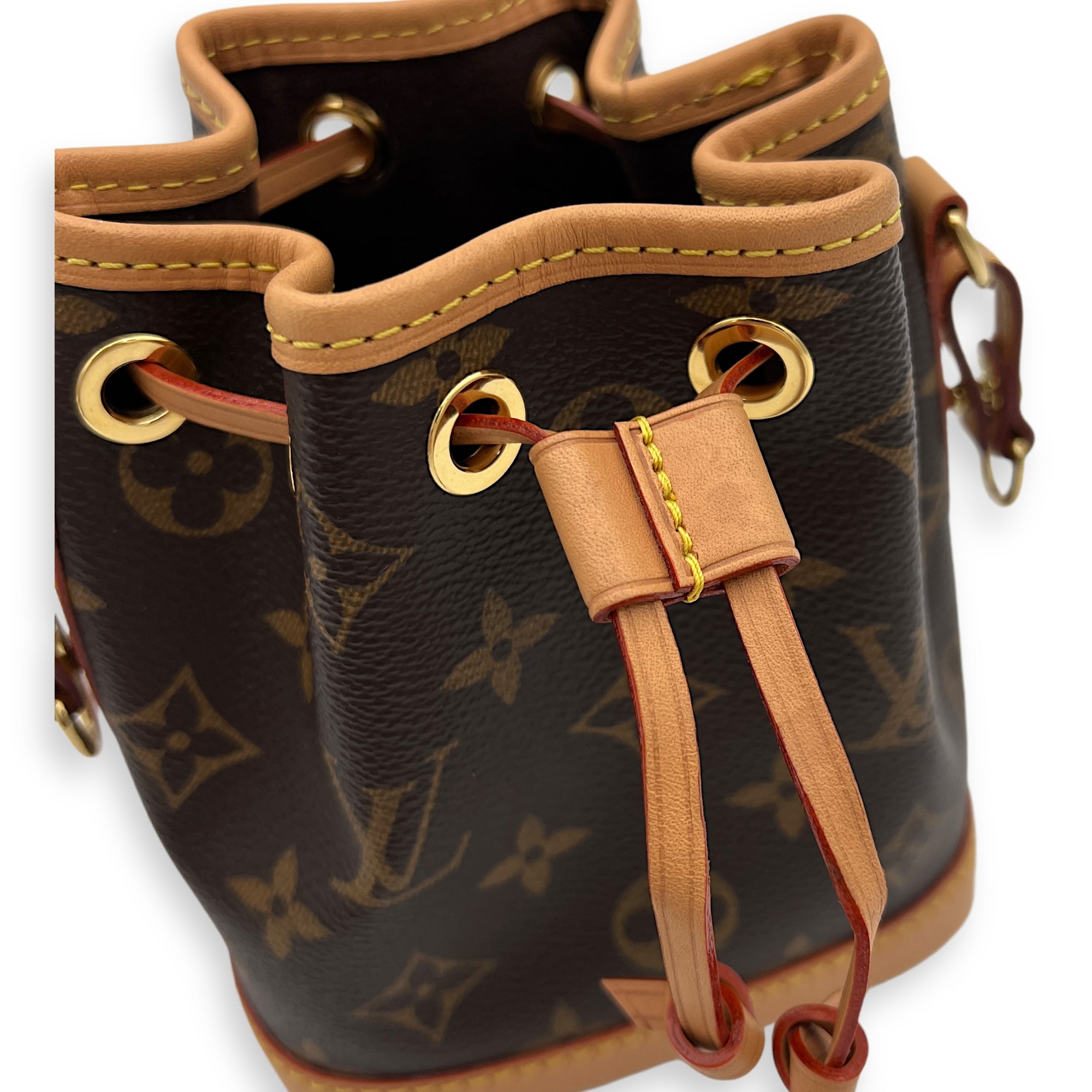 Noe Nano Brown Bucket Bag in Monogram Coated Canvas, Gold hardware