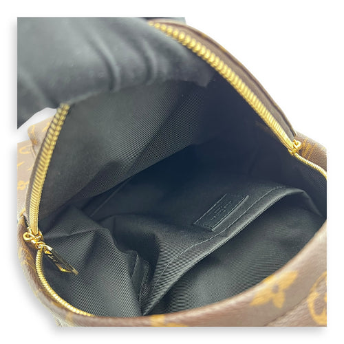 Louis Vuitton Palm Springs Backpack Brown in Monogram Coated Canvas, Gold hardware_6