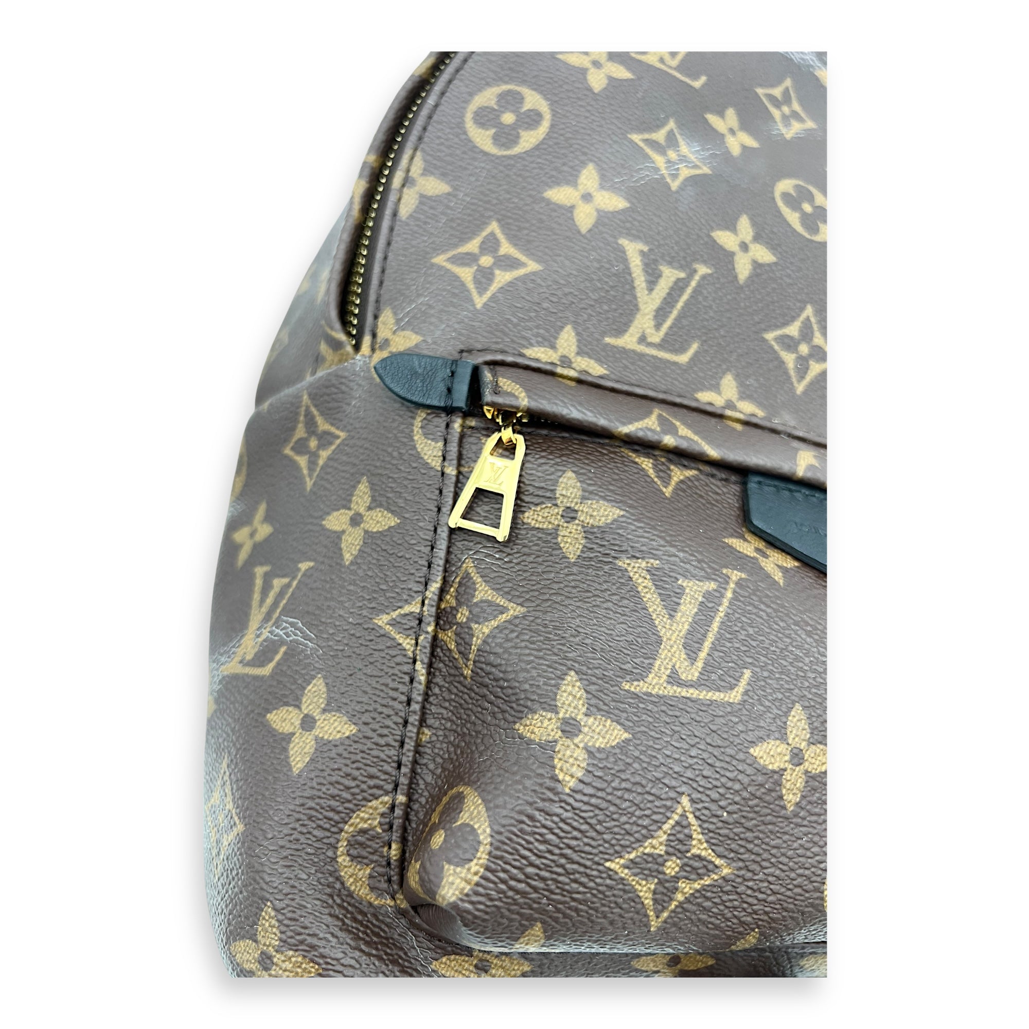Louis Vuitton Palm Springs PM Brown Backpack in Monogram Coated Canvas, Gold hardware_4