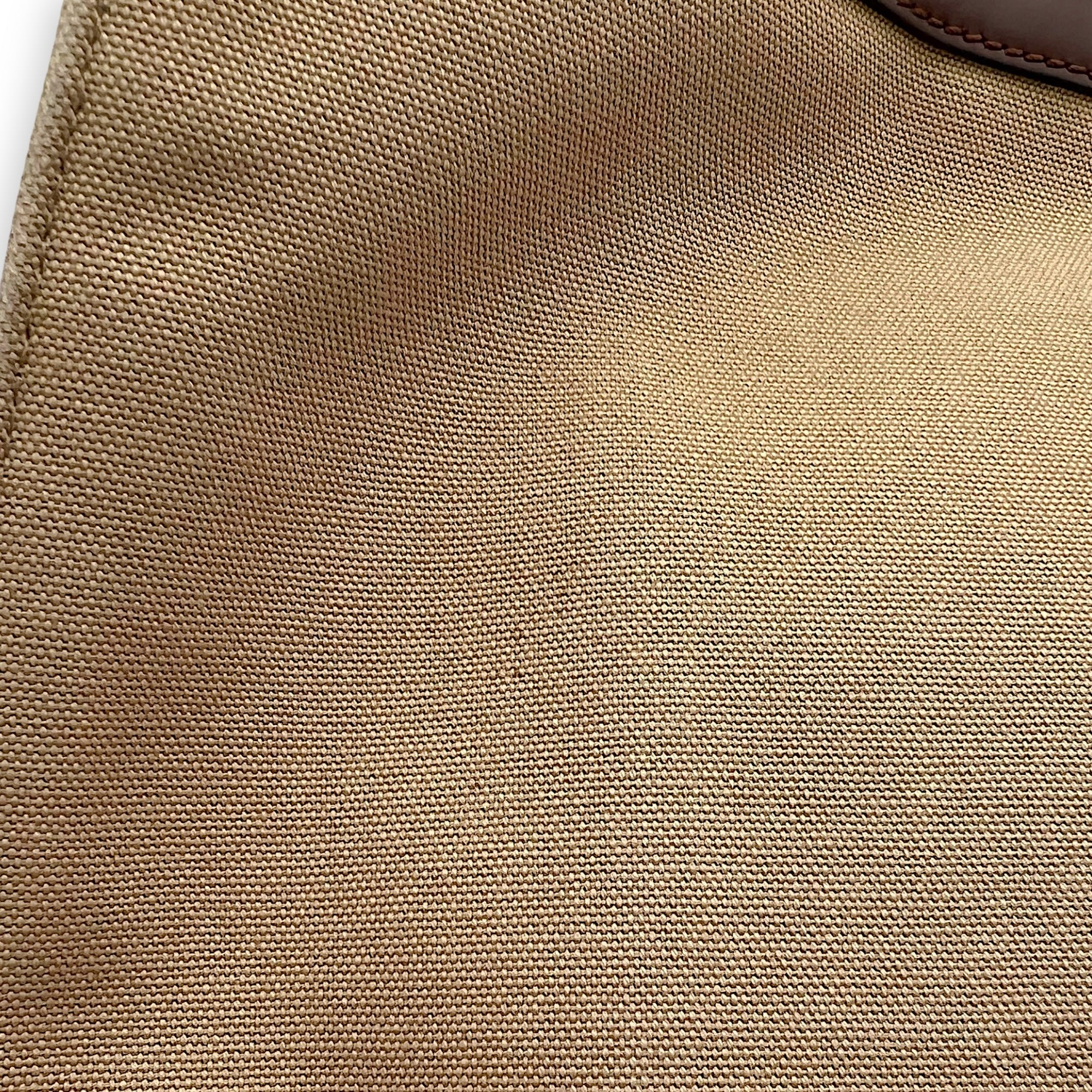 Fendi Peekaboo Brown Top Handle Bag in Canvas, Gold hardware_12