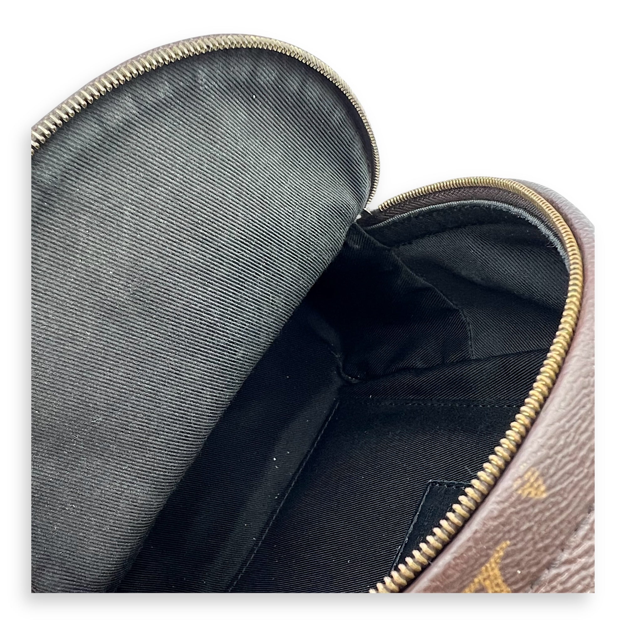 Louis Vuitton Palm Springs Backpack Mini Brown in Monogram Coated Canvas, Gold hardware_4