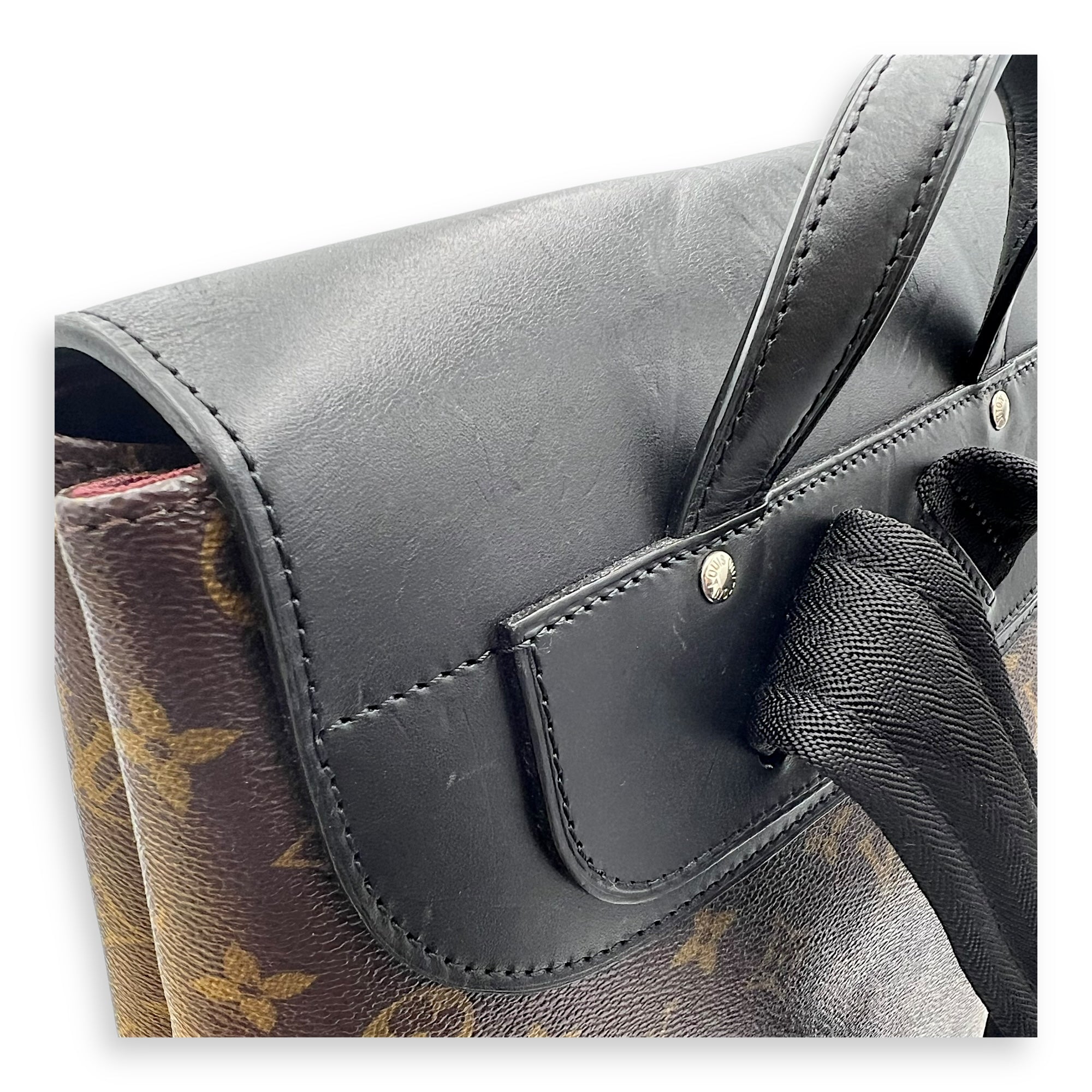 Louis Vuitton Macassar Brown Backpack in Monogram Coated Canvas, Gold hardware_13