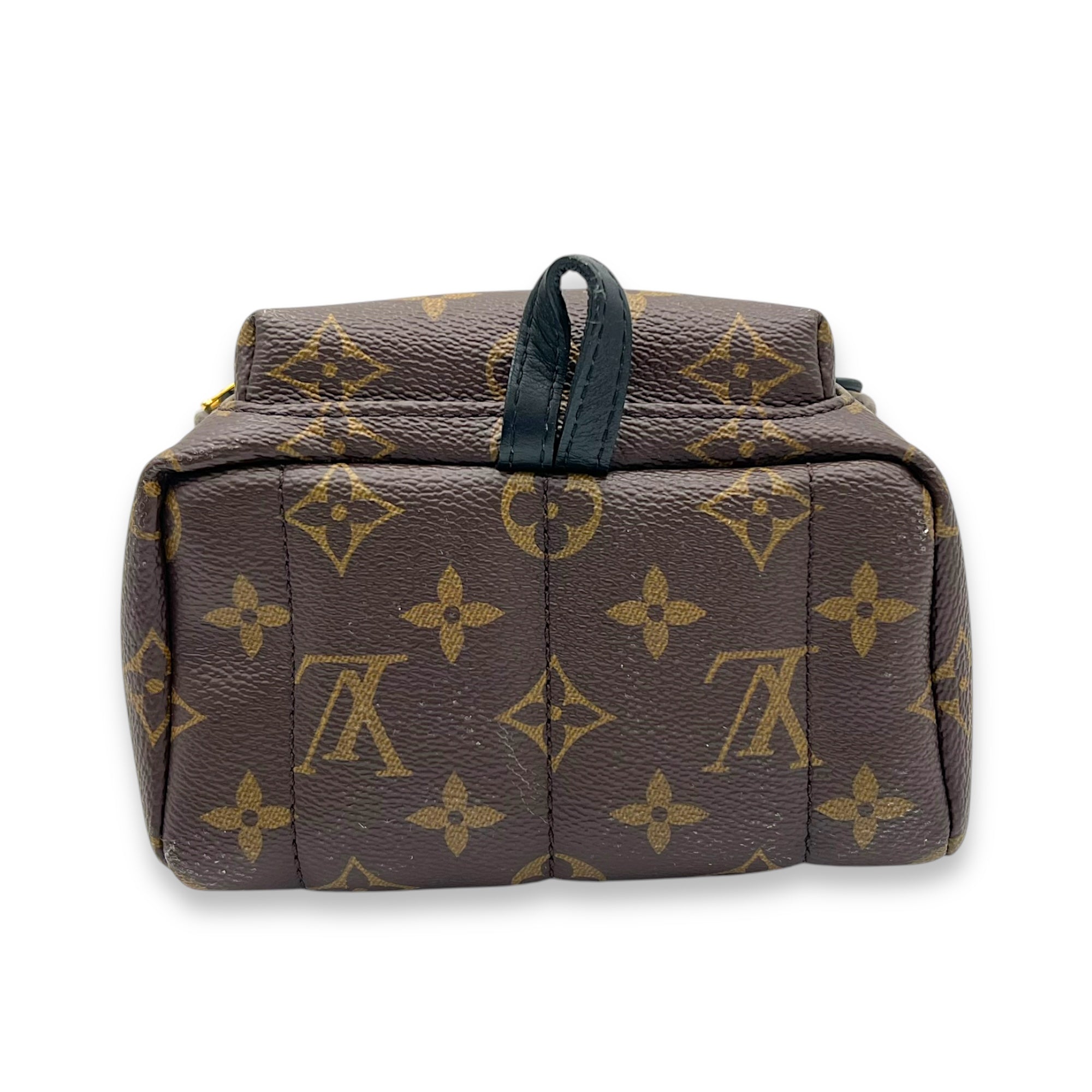 Palm Springs Backpack Brown in Monogram Coated Canvas, Gold hardware