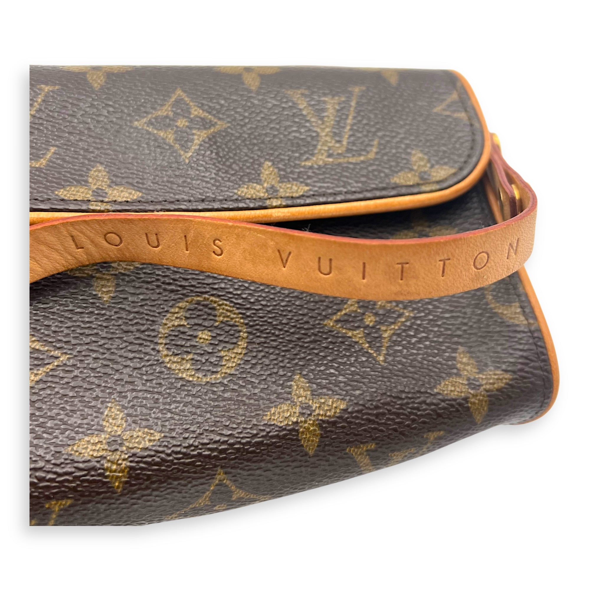 Louis Vuitton Florentine Belt Bag Brown in Monogram Coated Canvas, Gold hardware_15