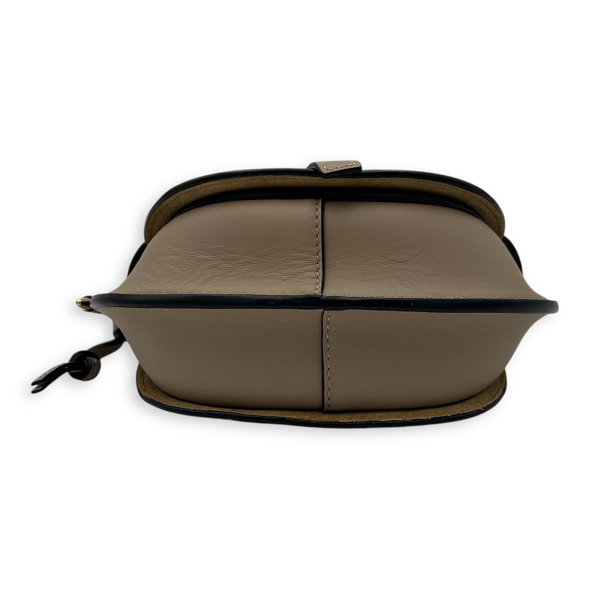 Loewe Gate Dual Beige Crossbody Bag in Calfskin, Gold hardware_5